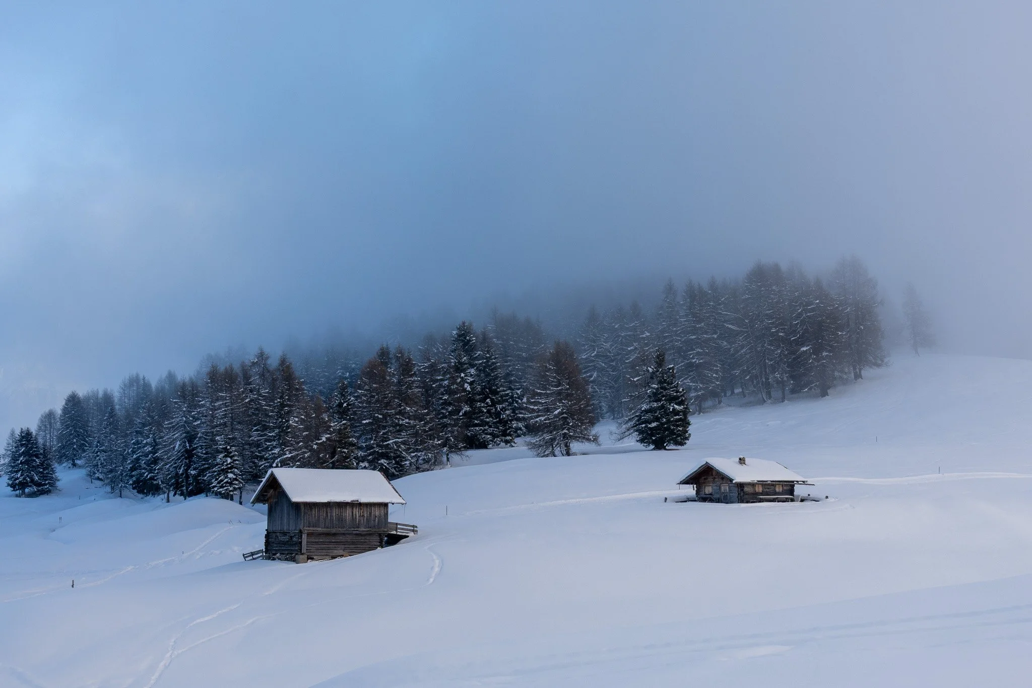 Snow-covered landscape with two small wooden cabins and a forest of snow-covered trees in the background, foggy sky.