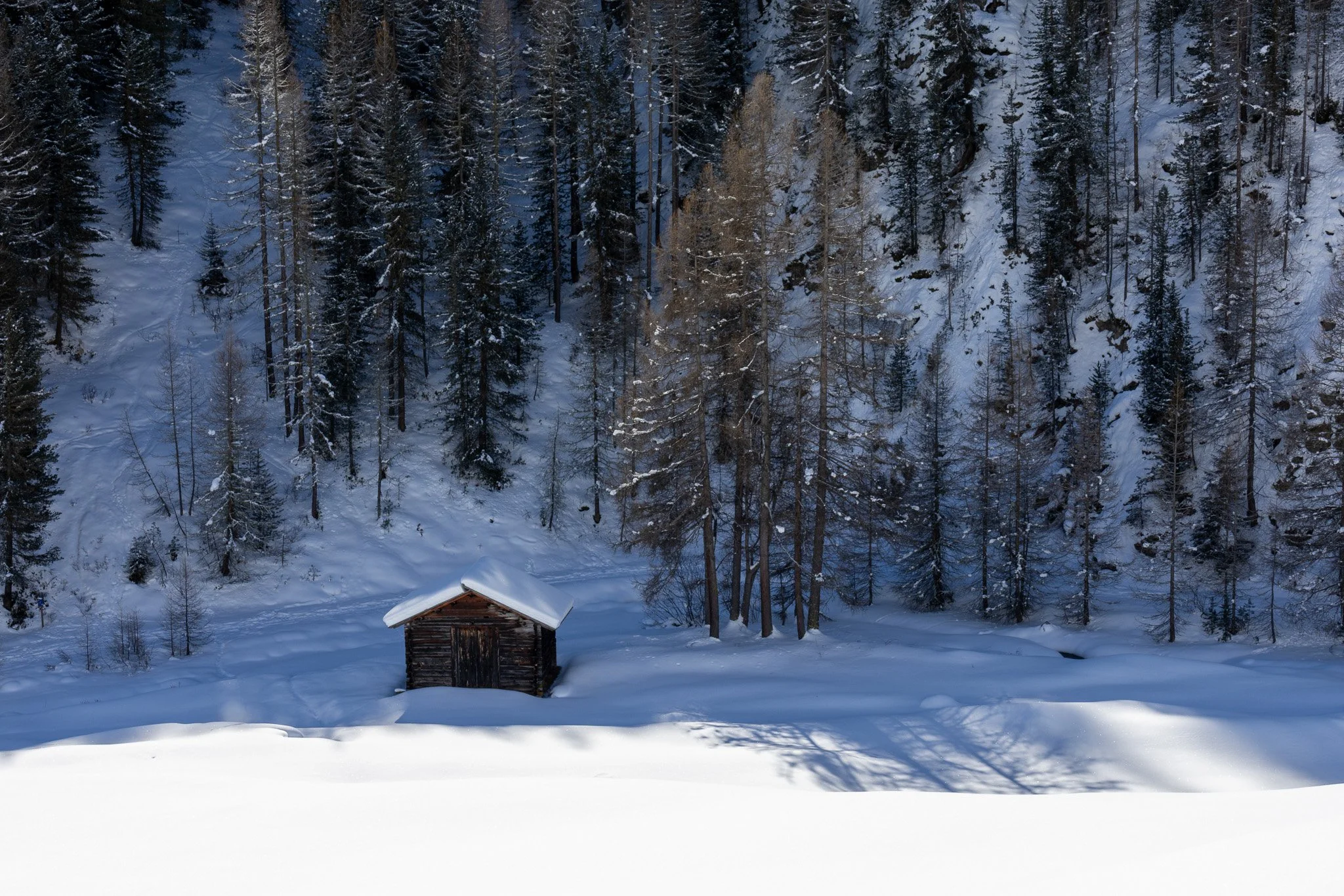 Snow-covered landscape with a small wooden cabin surrounded by pine trees and snow in the background.