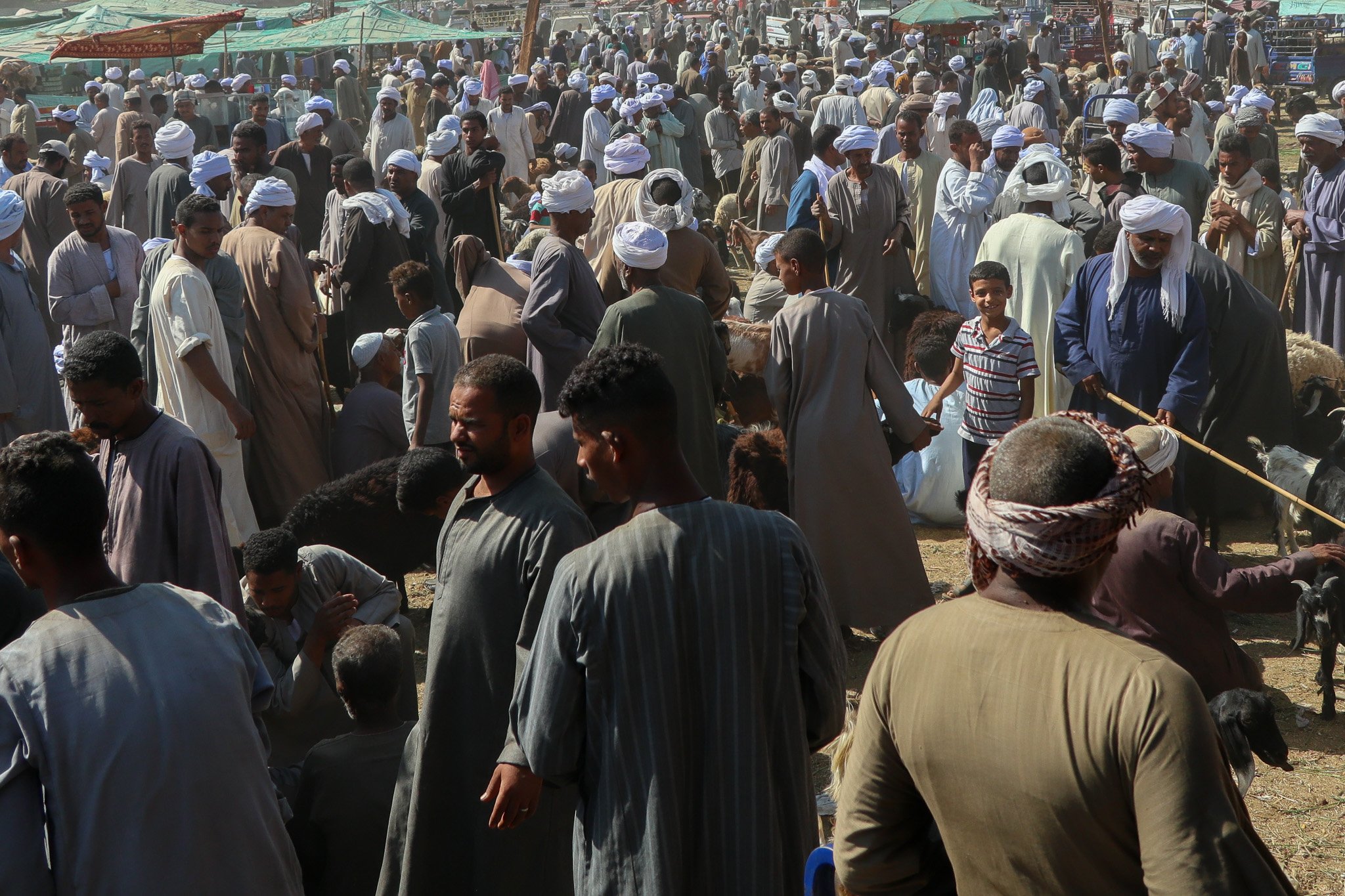 A large crowd of men, women, and children gathered outdoors, many wearing traditional clothing and head coverings, with some tending to animals, possibly at a market or festival.