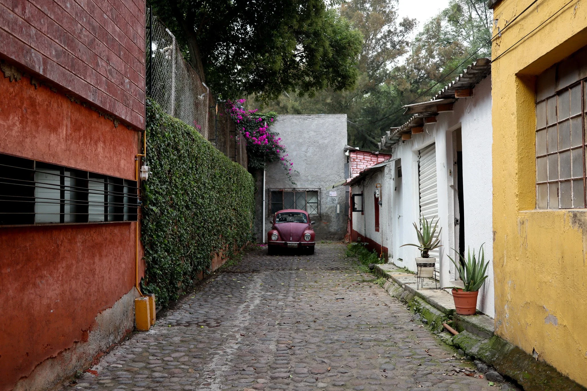 A narrow cobblestone street lined with colorful buildings, with a vintage purple car parked at the end and pink bougainvillea flowers growing on a wall behind the car.