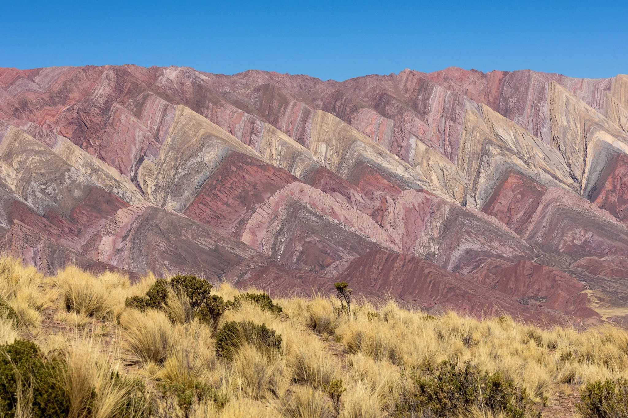 Colorful layered mountains with reddish, purple, yellow, and gray stripes against a clear blue sky, in a desert landscape with yellowish dry grass and sparse bushes in the foreground.