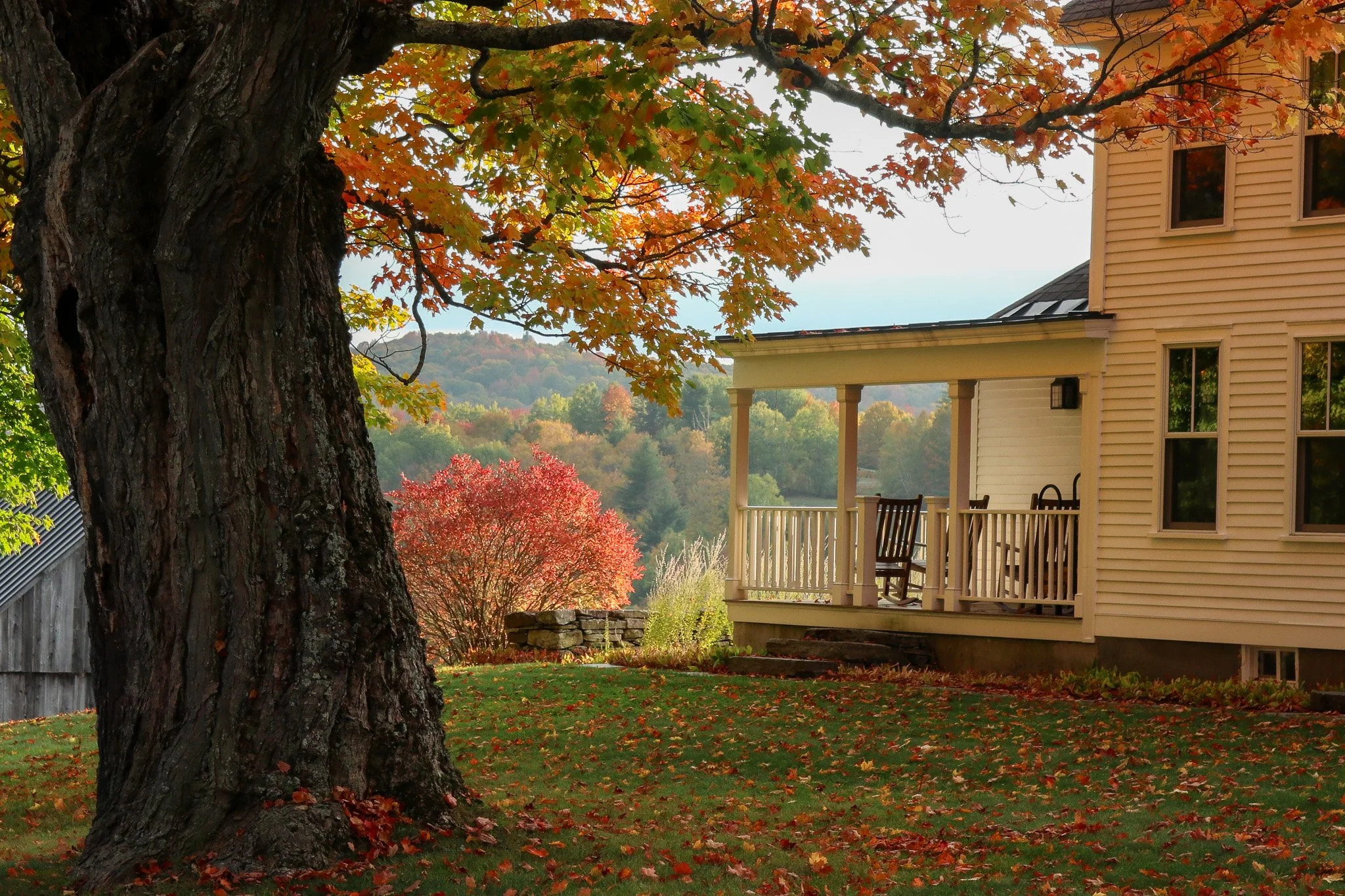 A large tree with branches and orange, green, and yellow leaves in the foreground. A white house with a porch, chairs, and white siding on the right. Trees with colorful autumn leaves and rolling hills in the background.
