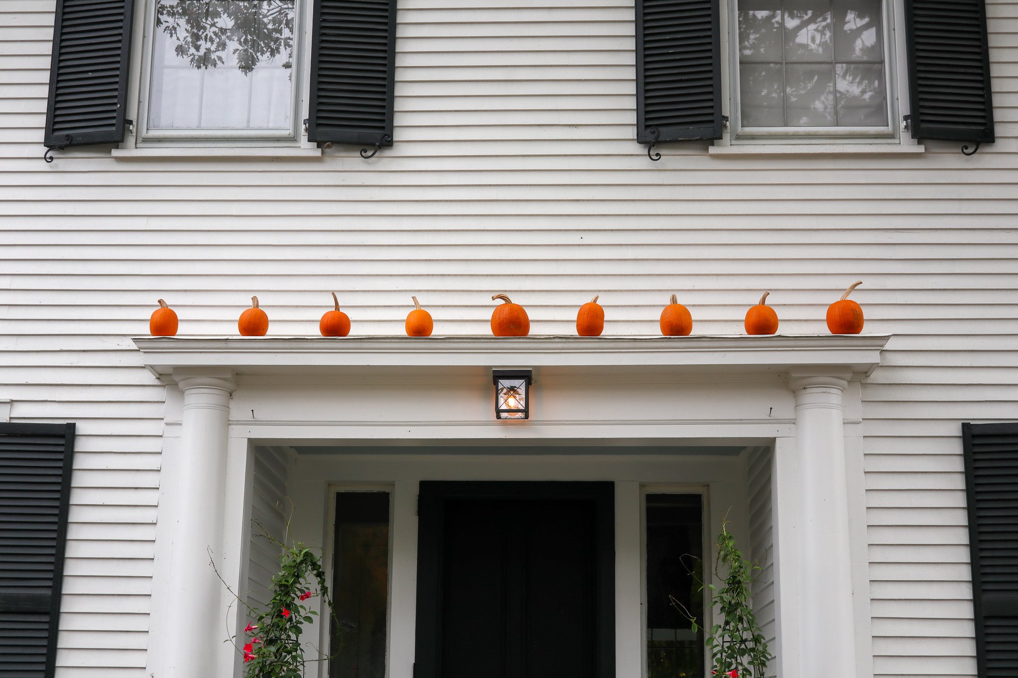 A row of small pumpkins lined on a ledge above the front door of a house.