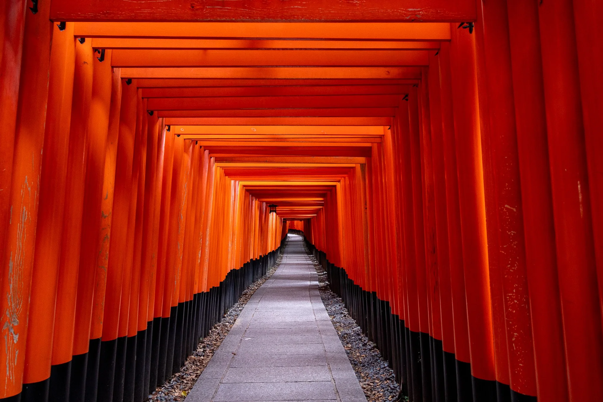 A pathway through multiple red torii gates at a Japanese shrine, creating a tunnel-like perspective.