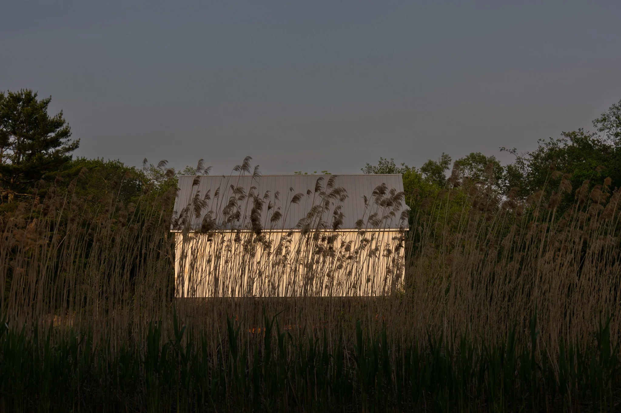 A small building with a metal roof is surrounded by tall grass and trees, under a cloudy sky.