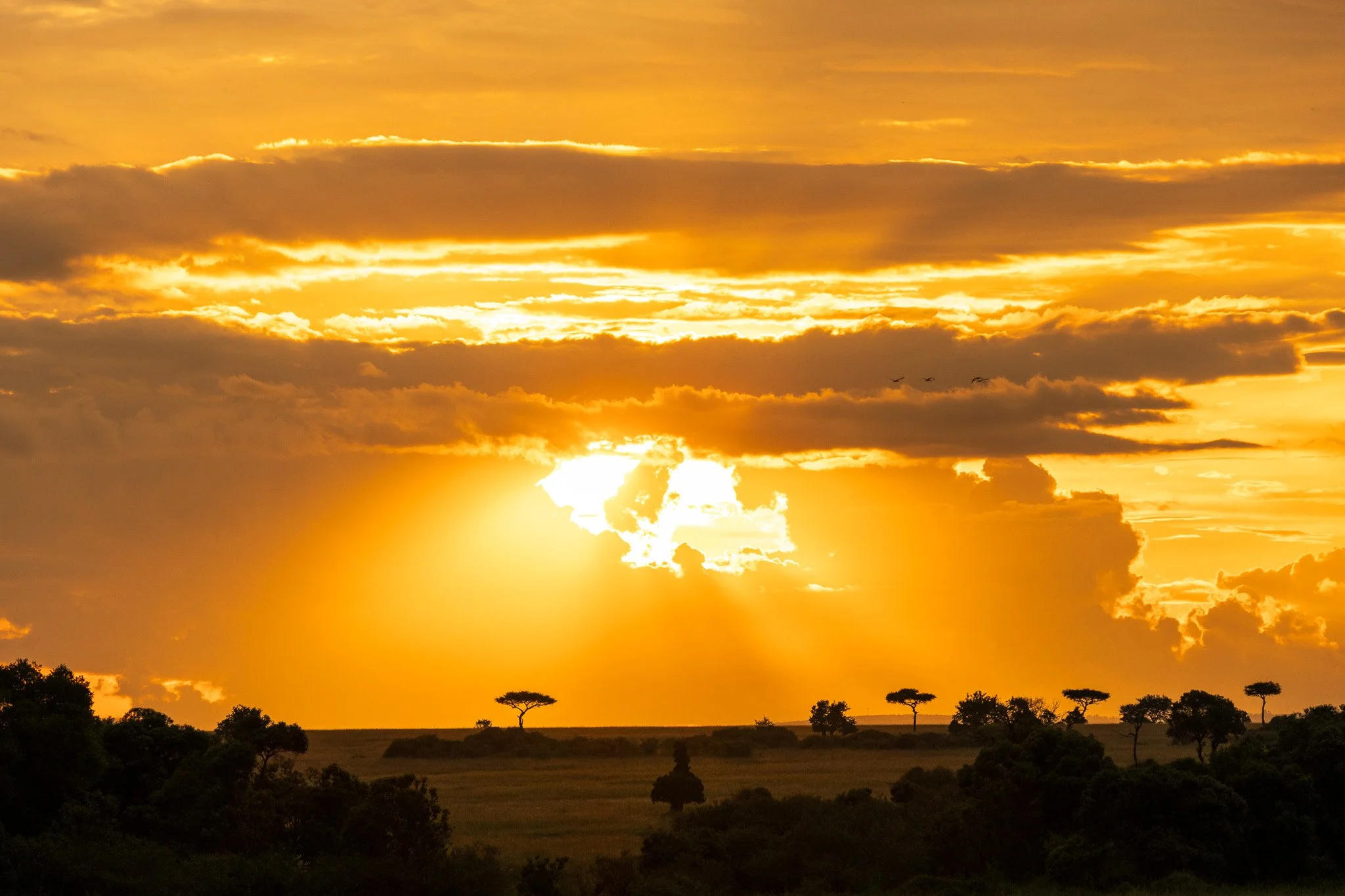Sunset over an African savannah landscape with scattered trees and a partly cloudy sky.