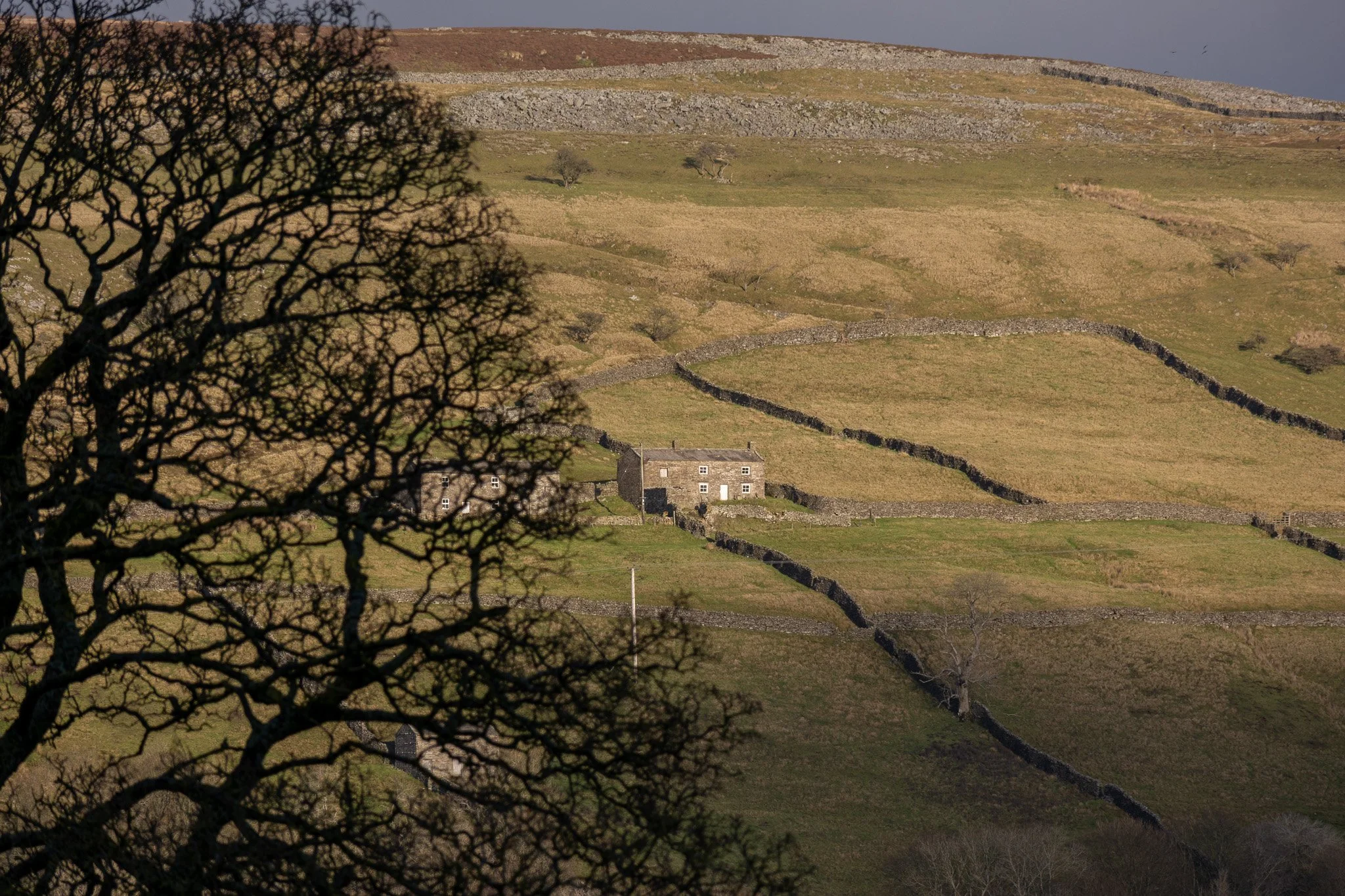 A rural landscape with rolling hills, stone fences, and a stone house, partially obscured by a large tree in the foreground.