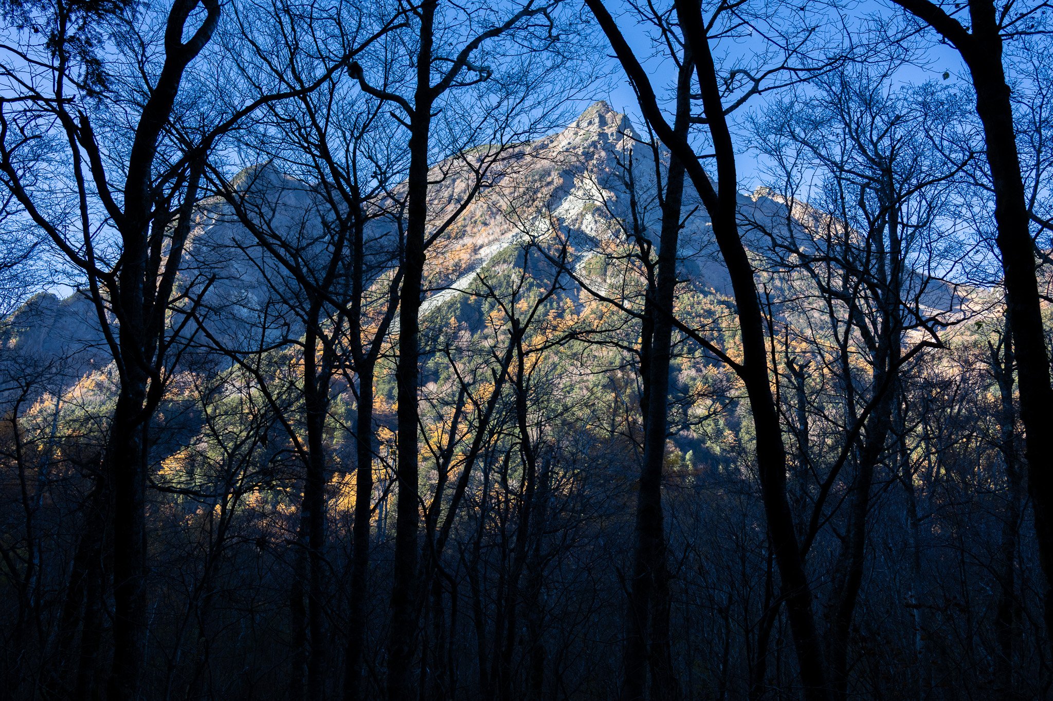 A mountain peak visible through leafless trees in a forest.
