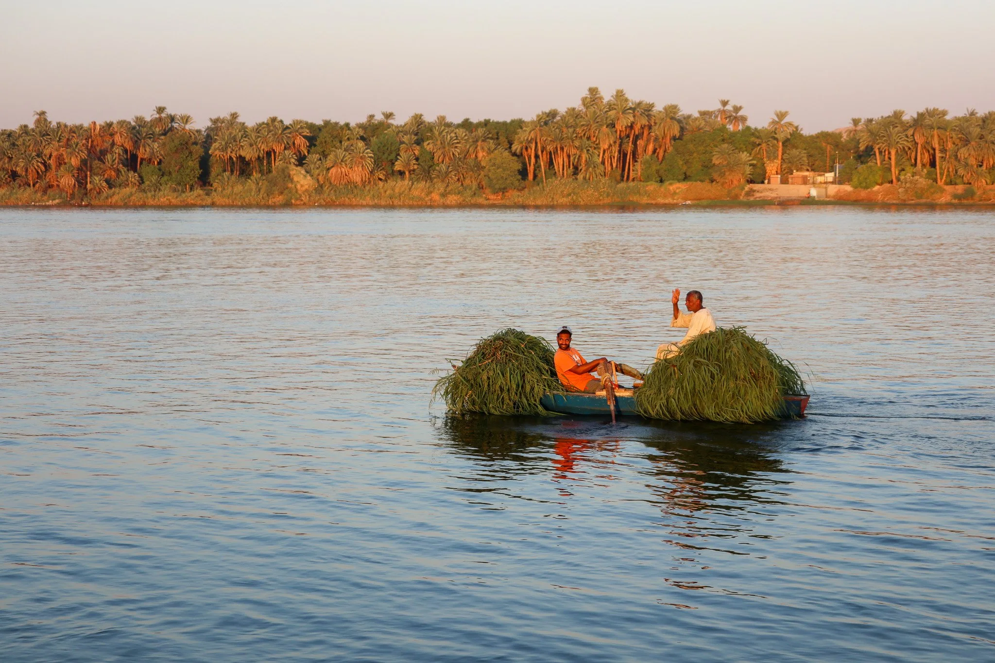 Two men ride in a small boat on a river, carrying large bundles of plants, with lush trees and palm trees along the riverbank in the background.