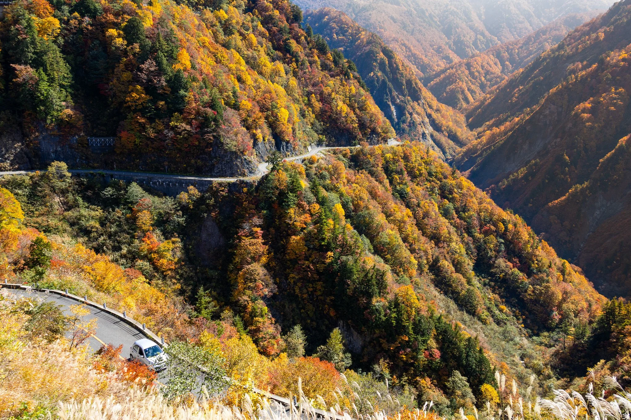 A winding mountain road with a car on it, surrounded by colorful autumnal trees on steep slopes in a canyon, with distant mountain ridges in the background.