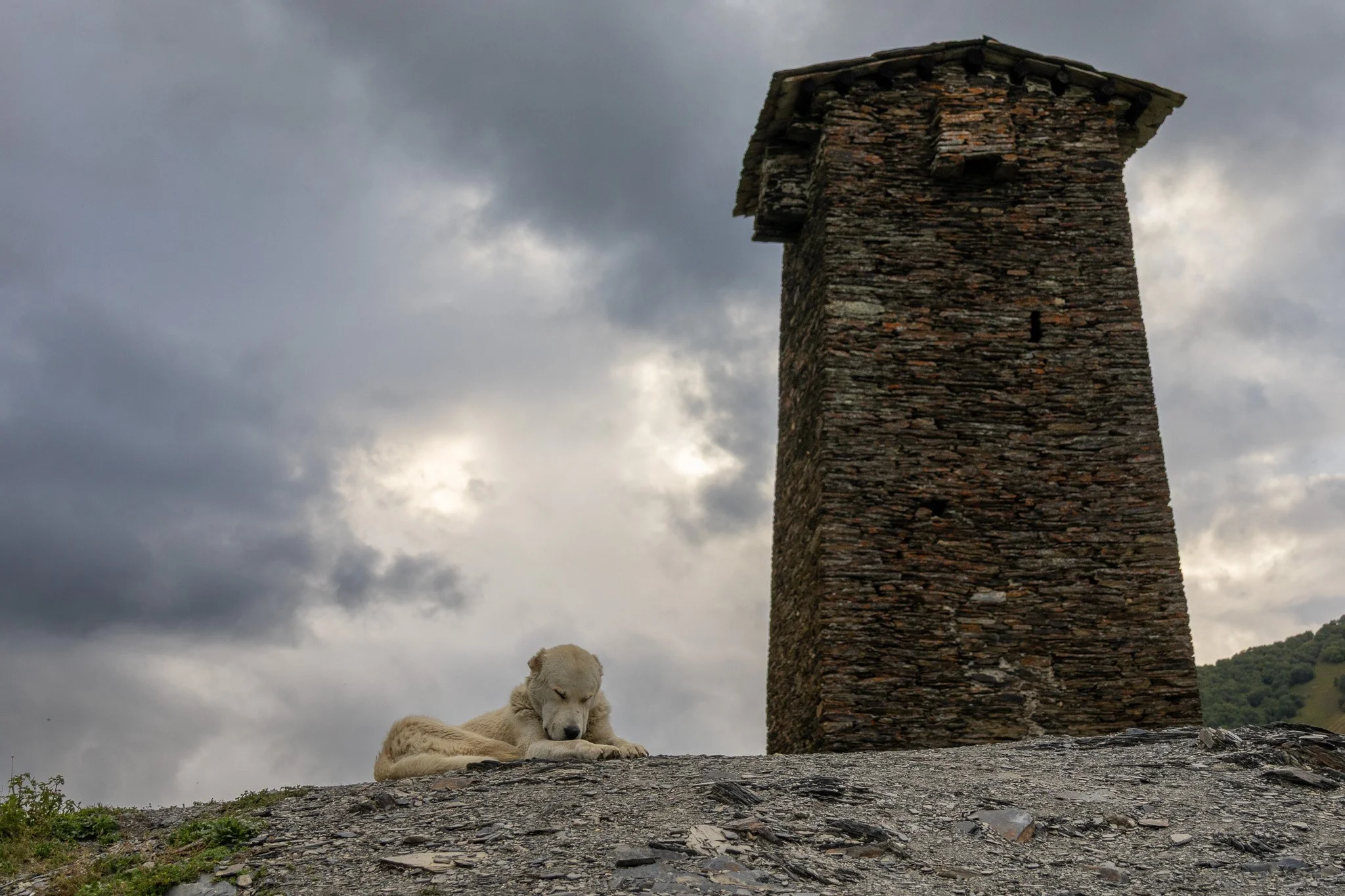 A white puppy lying down on a gravelly surface with a tall stone tower and cloudy sky in the background.