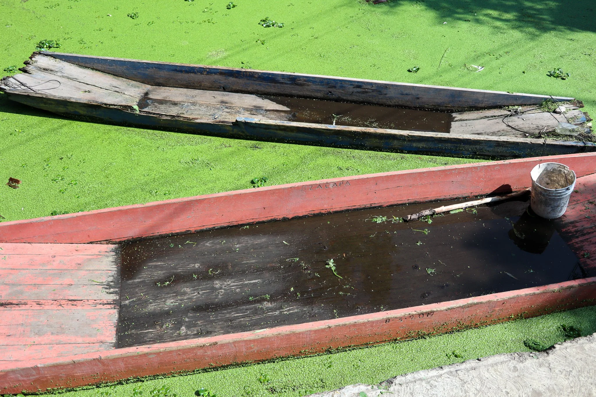 Two old wooden boats, one black and one red, resting on green algae-covered water.