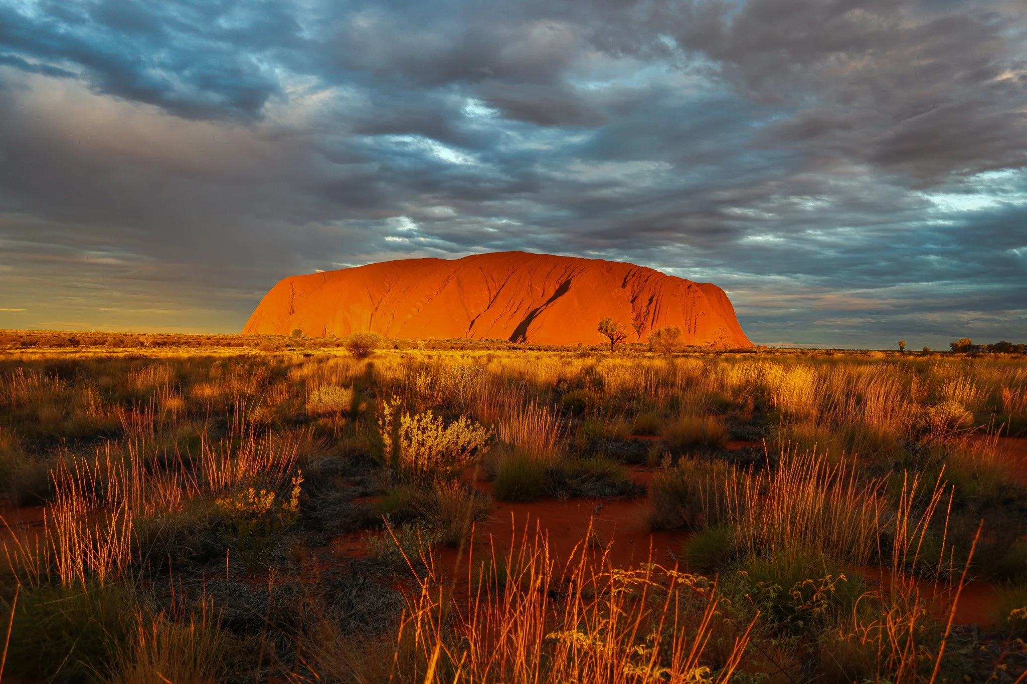 Sunset over Uluru rock formation with grassy desert foreground and cloudy sky.