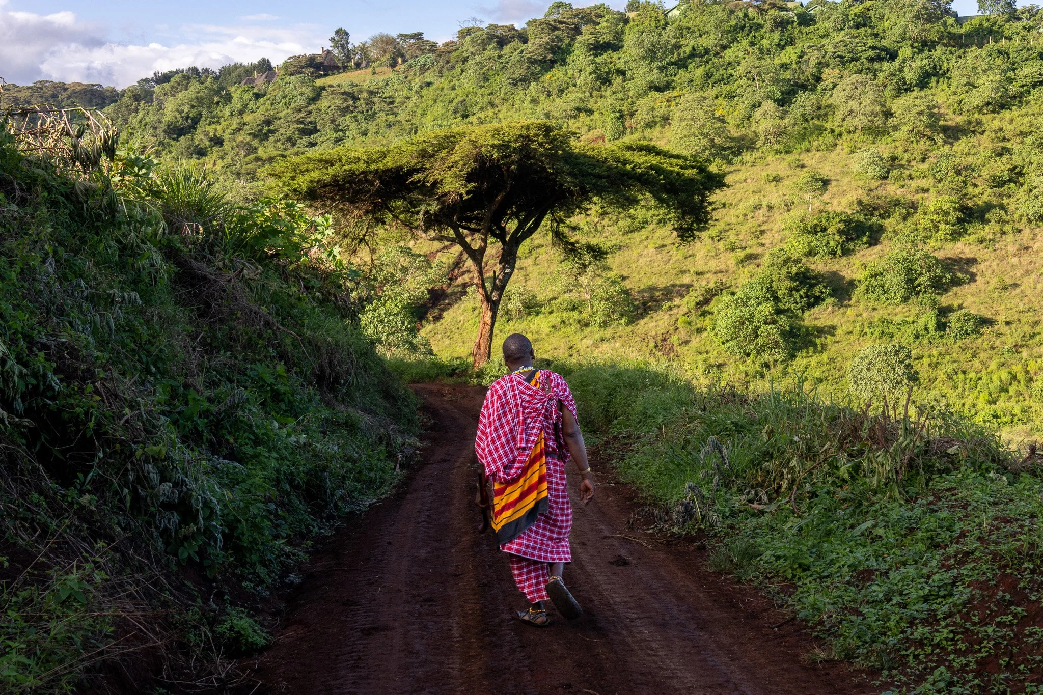 A person dressed in traditional Maasai clothing, including a red checkered shuka, walks along a dirt trail through a lush, green landscape with hills and sparse trees, under a partly cloudy sky.