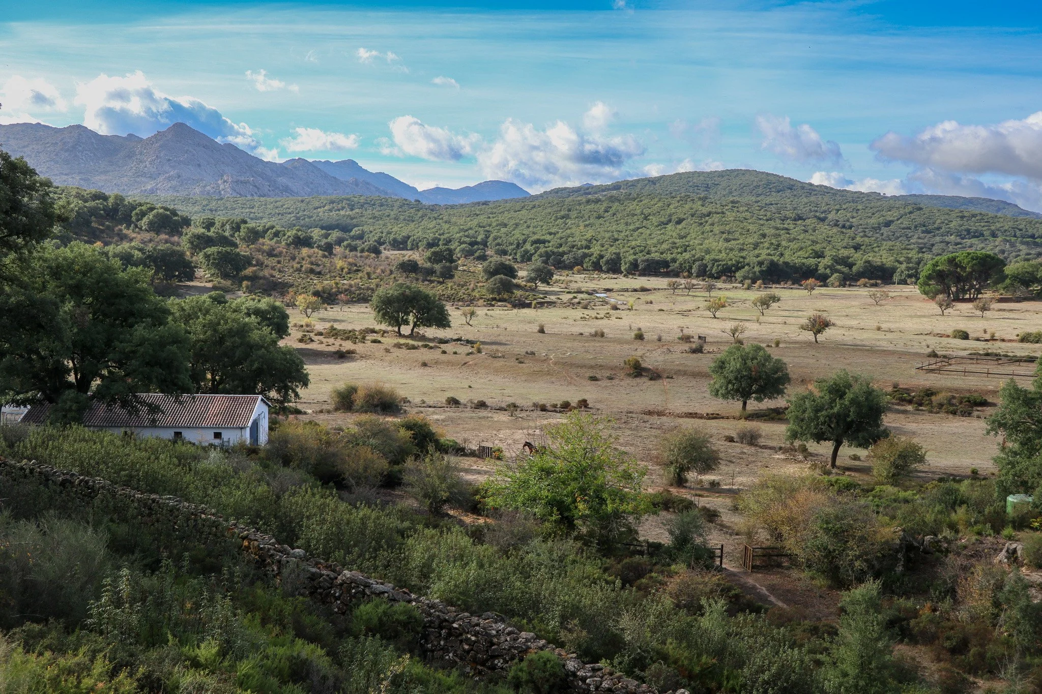 A rural landscape with rolling hills, green trees, and a small white house with a red roof in the foreground. Mountains can be seen in the distance under a partly cloudy sky.