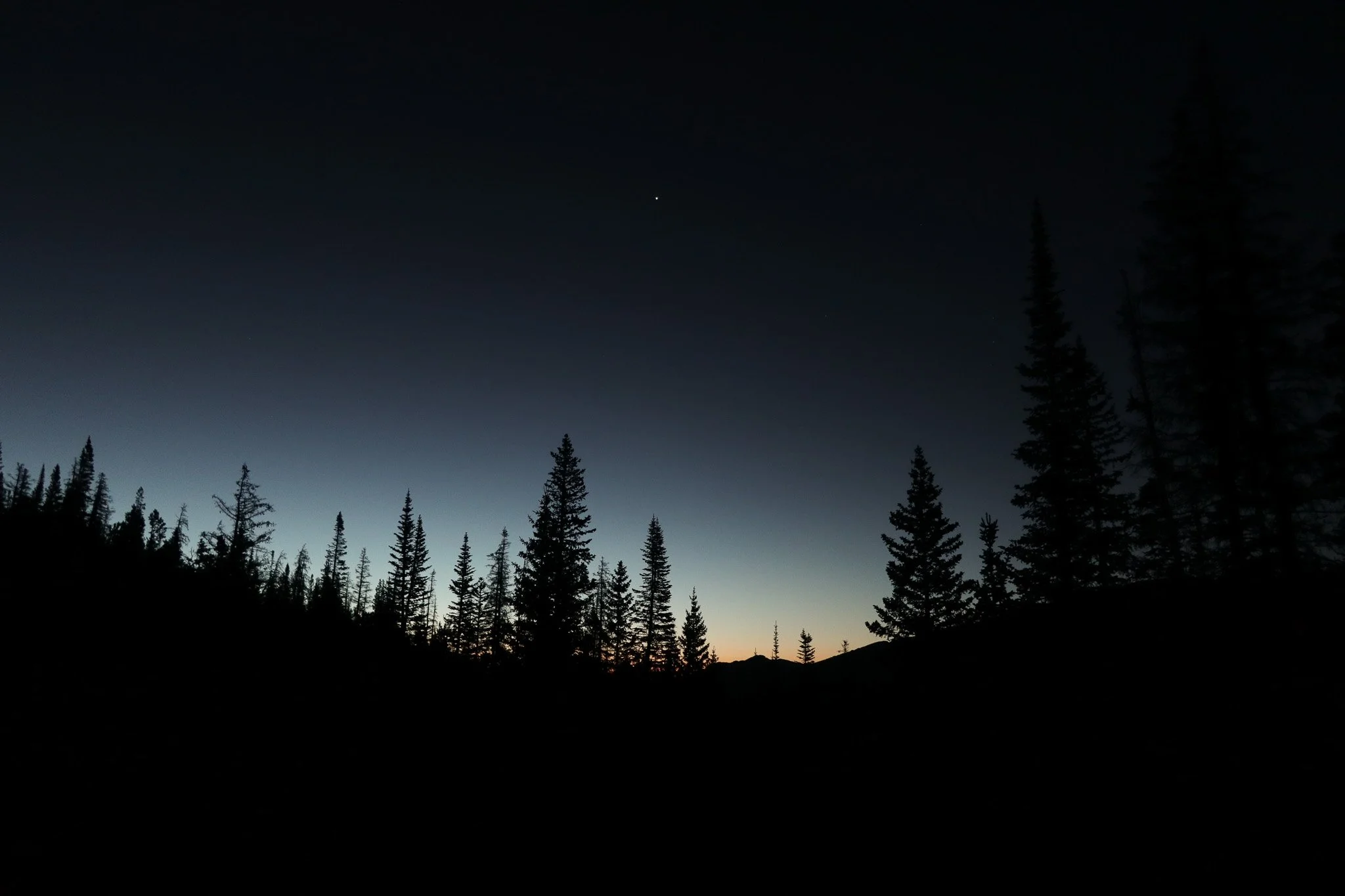 Colorado cattle drive 12.jpg