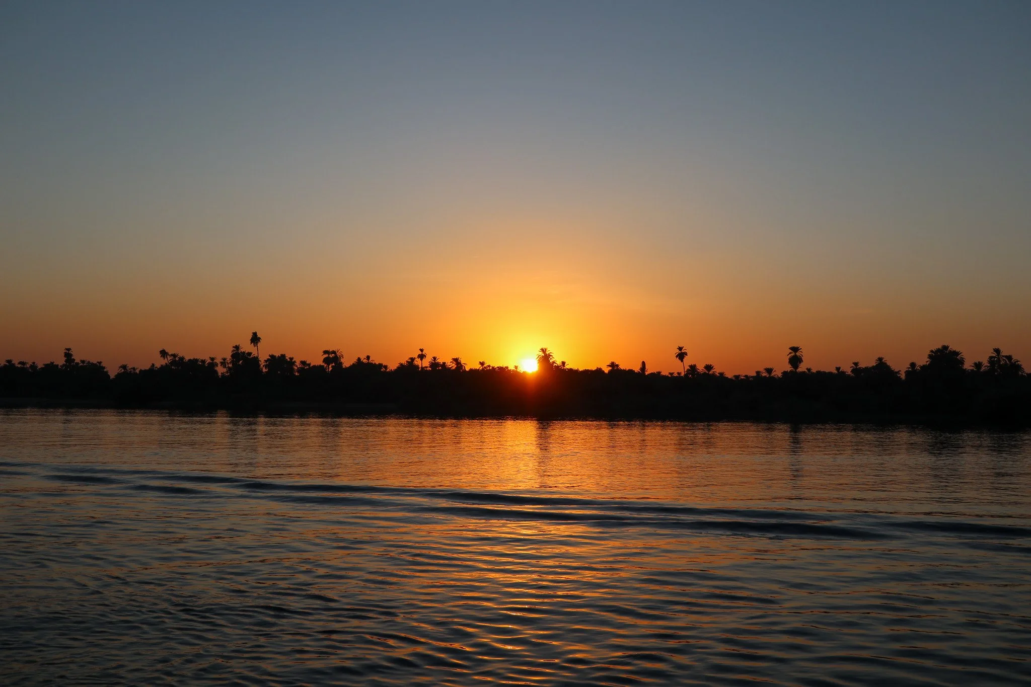 Sunset over a body of water with silhouettes of trees and palm trees on the horizon.