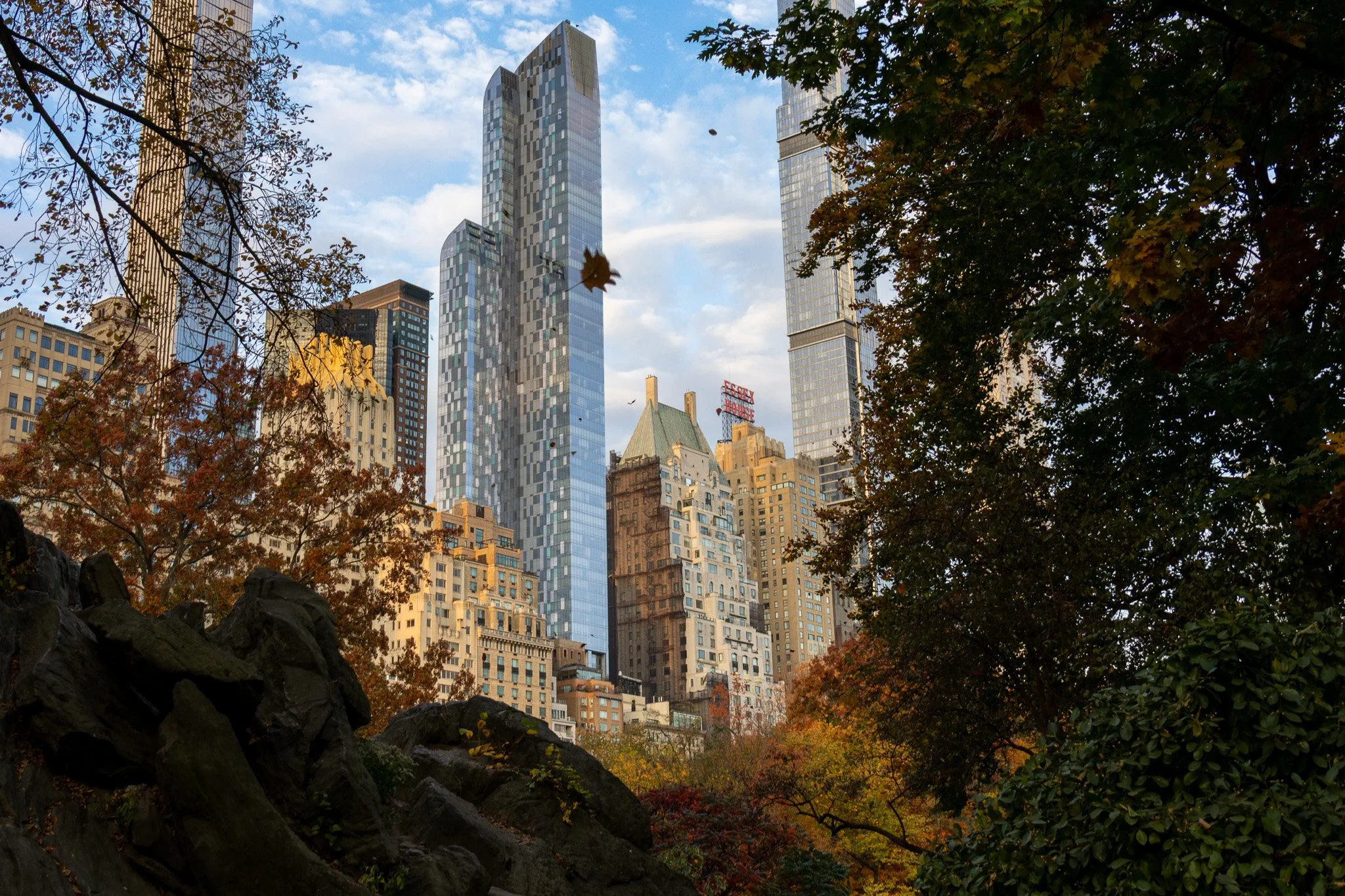 City skyline with tall modern skyscrapers, framed by autumn trees with orange, yellow, and green leaves, and rocks in the foreground.