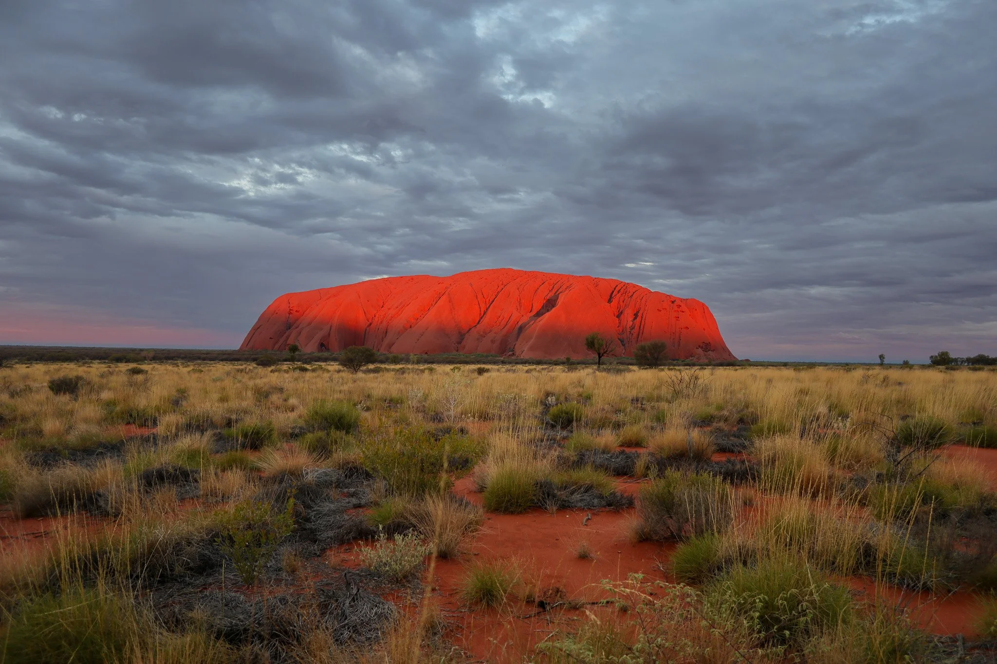 A vast desert landscape with dry grass and sparse small bushes in the foreground, and a large red rock formation called Uluru or Ayers Rock in the background under a cloudy sky.