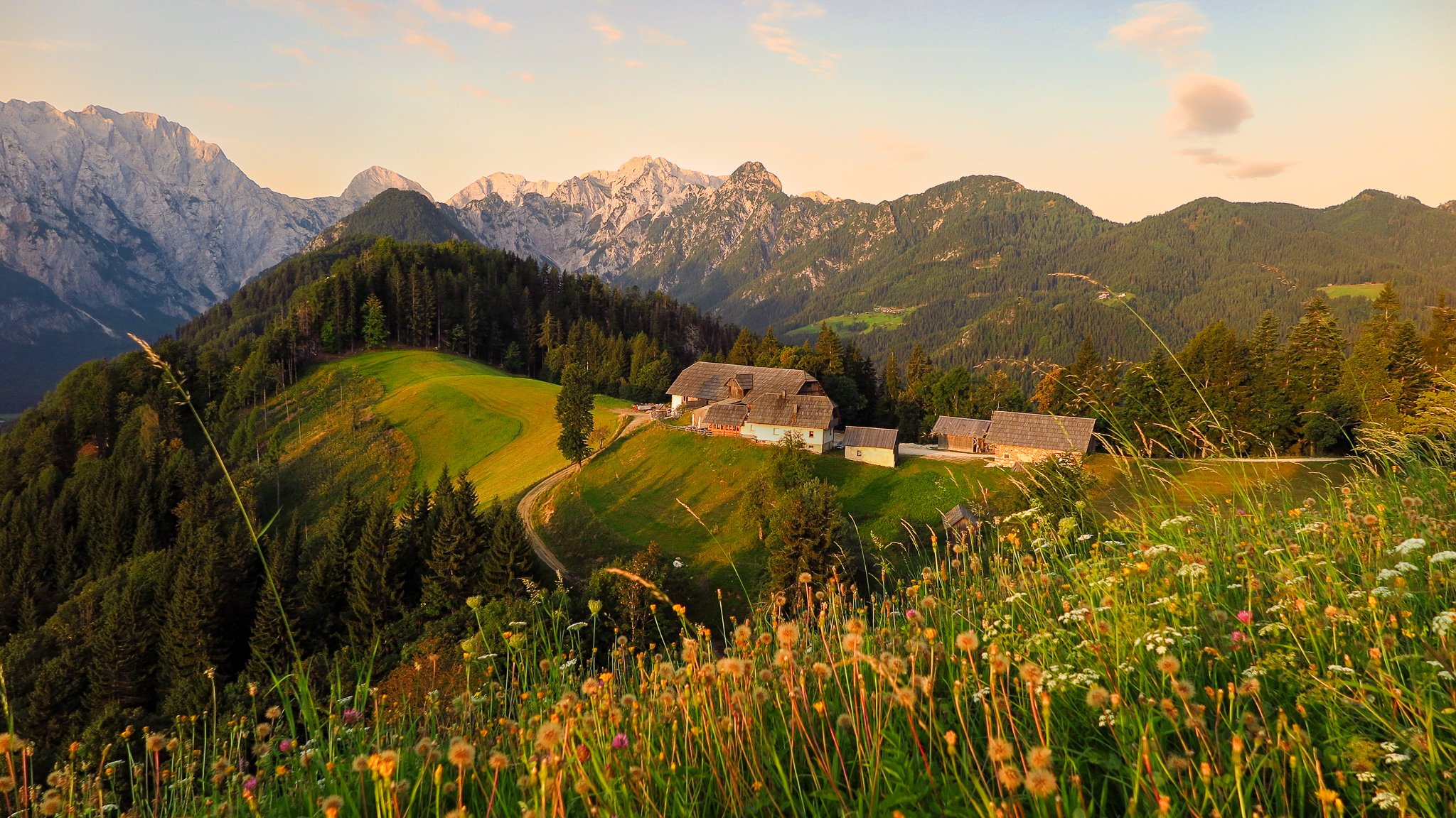 Scenic mountain landscape with wildflowers in foreground, green hills, and distant mountains at sunset.