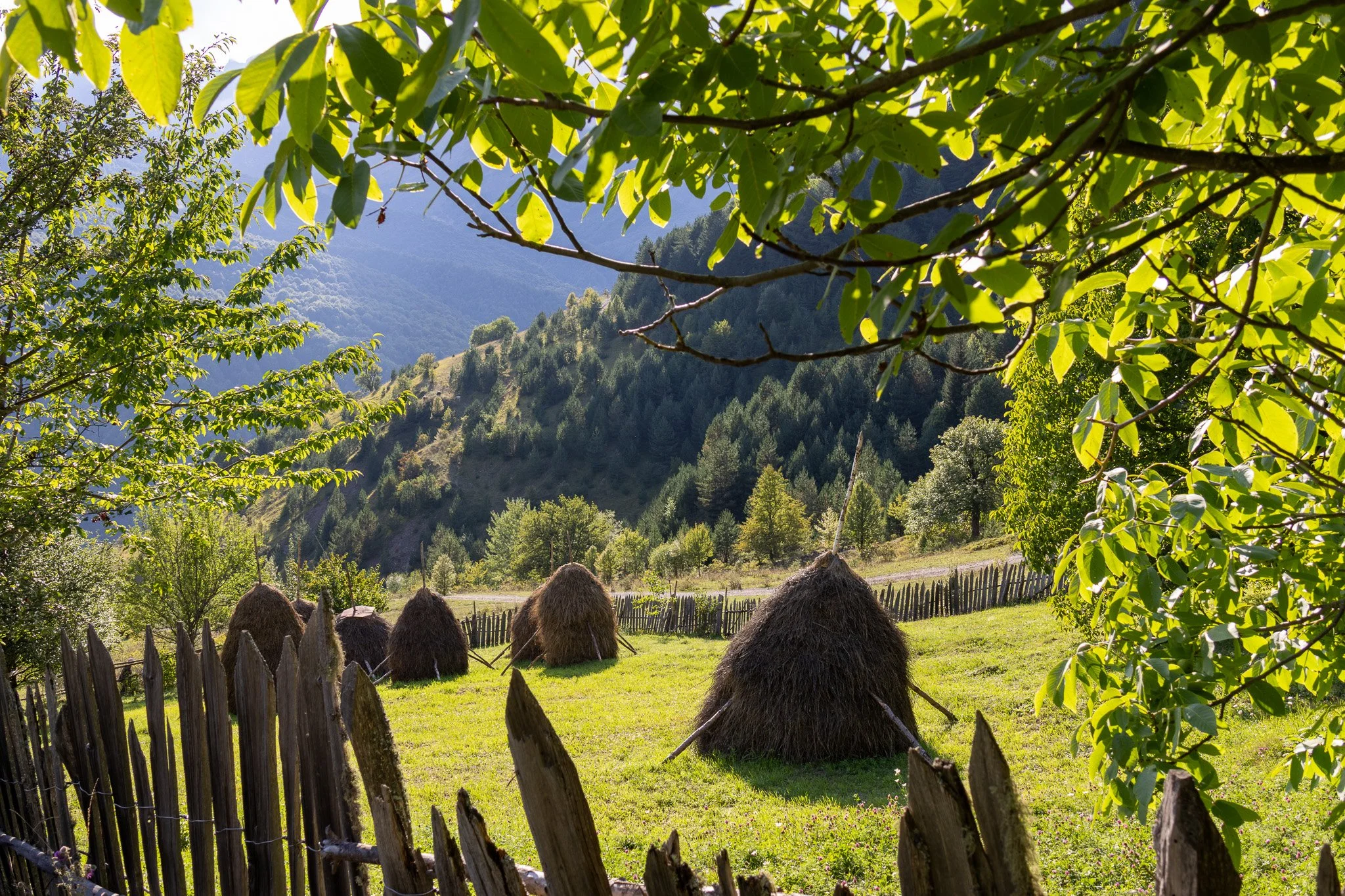 View of haystacks in a green field surrounded by a rustic wooden fence, with lush trees and mountains in the background under a clear sky.