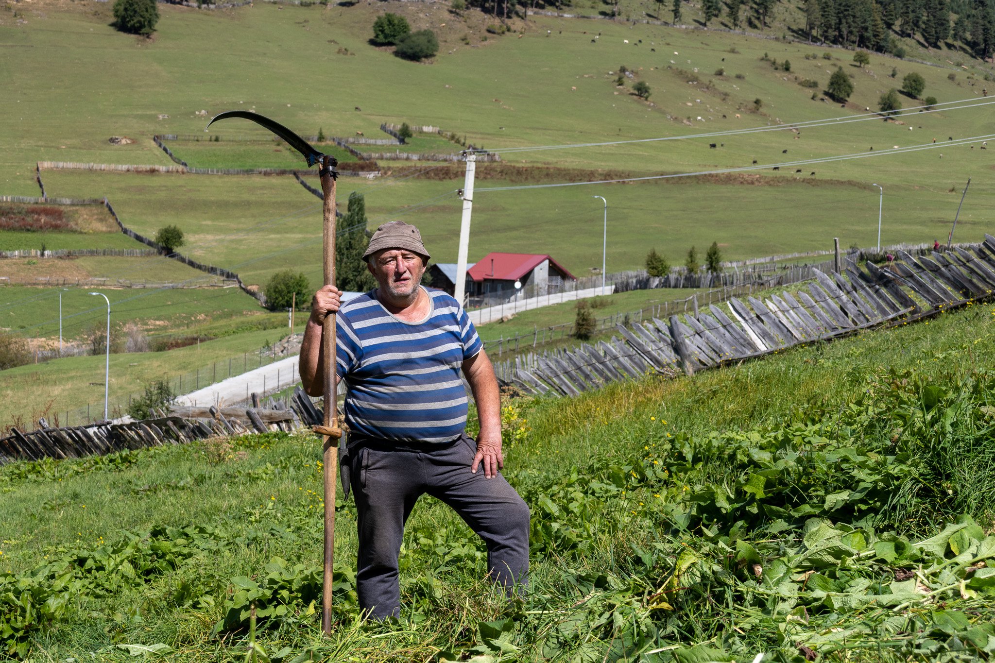 A man wearing a striped shirt, a hat, and gray pants standing on a grassy hillside holding a scythe, with rolling green fields, a house with a red roof, utility poles, and a sloped wooden fence in the background.
