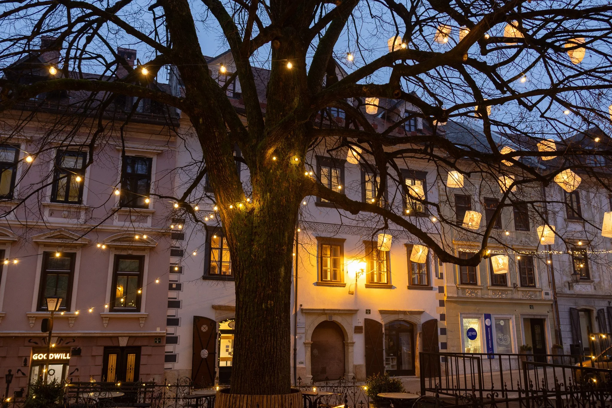 A large tree with no leaves is decorated with hanging lanterns and string lights, situated in front of a multi-story building with illuminated windows, in an urban setting during evening.