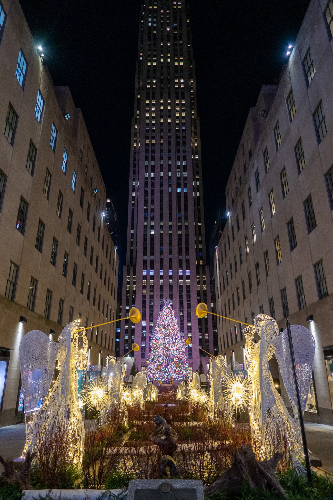 Nighttime cityscape with illuminated Christmas tree and holiday decorations in a courtyard between tall buildings.