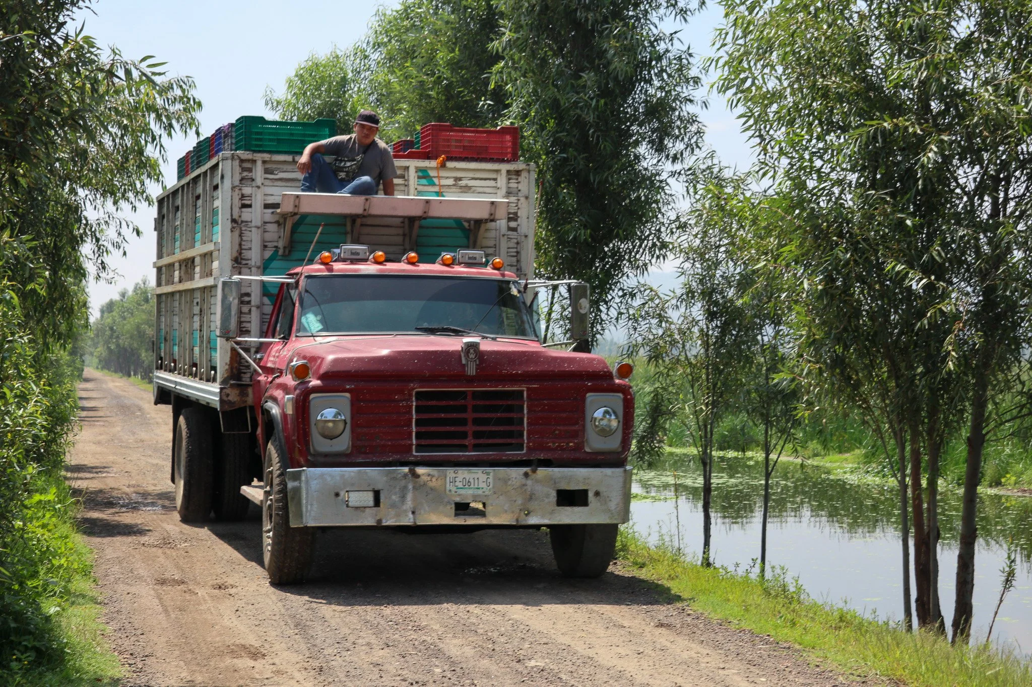 A red truck carrying a man on top of its cargo area, driving along a dirt road surrounded by green trees and water on the side.