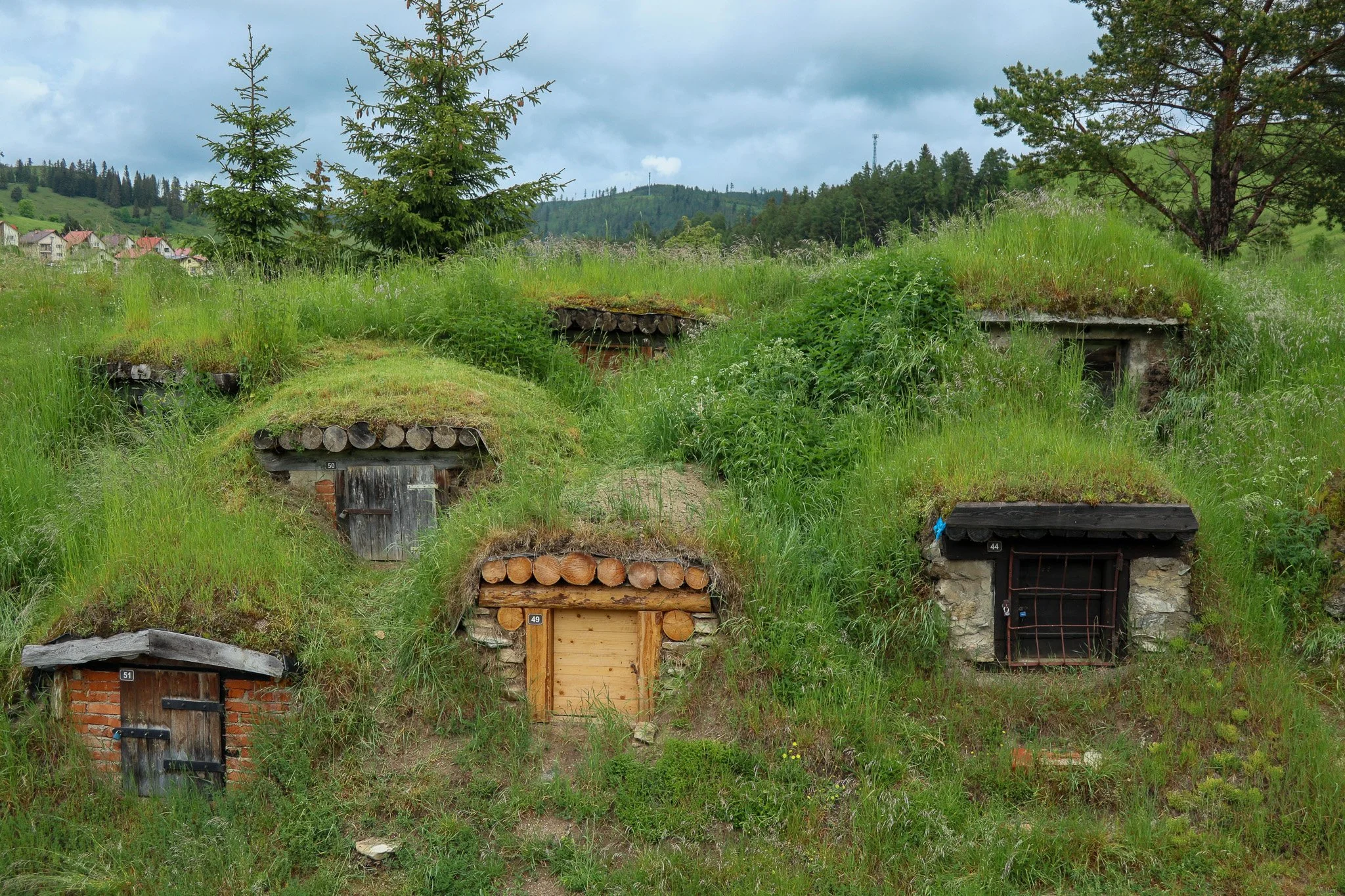 Multiple small, earth-covered, hobbit-style doors with various wood and brick frames, built into a grassy hillside with trees and a cloudy sky in the background.