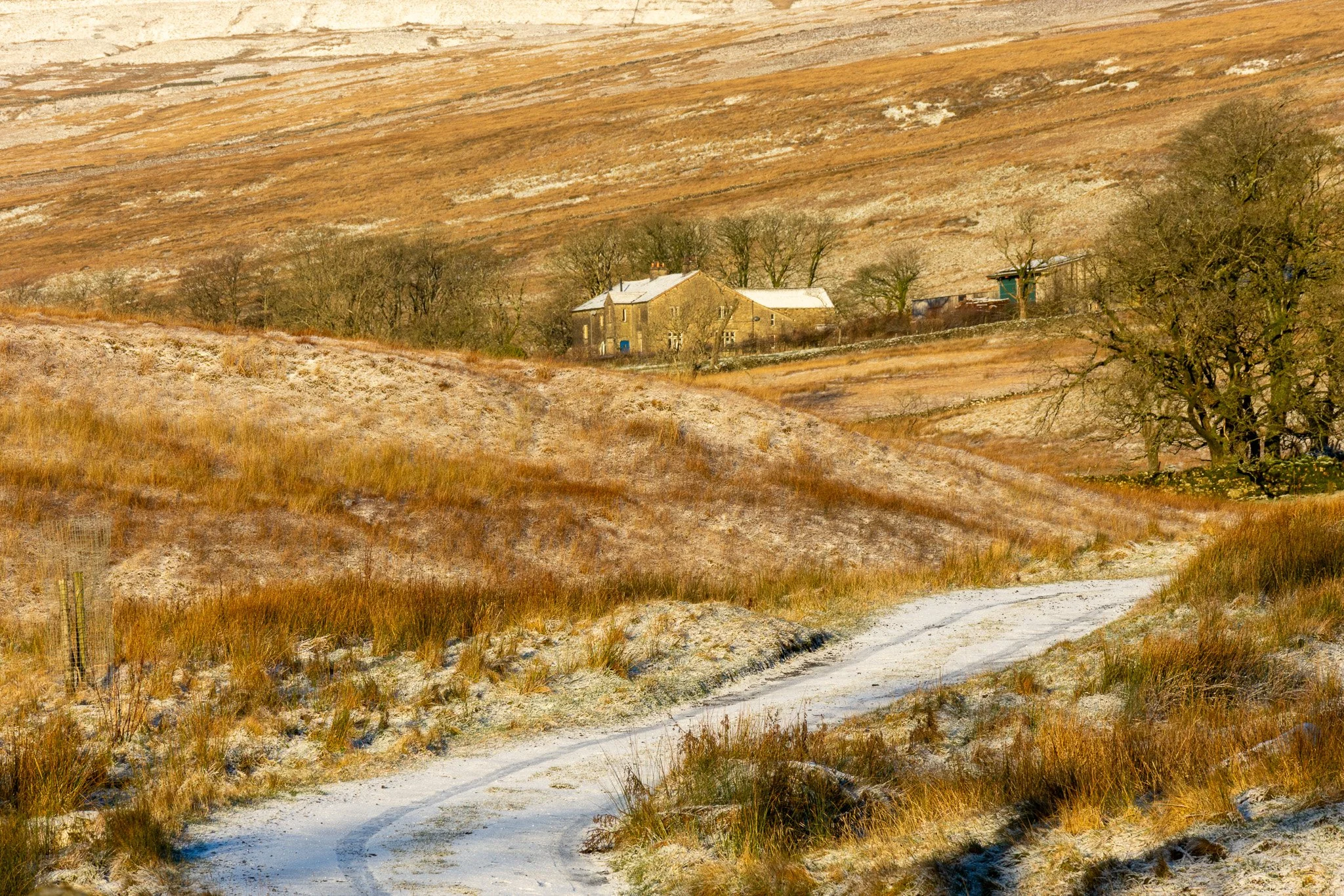 A winding dirt path through a frosty, grassy hillside leading to a stone house with a snow-covered roof, surrounded by trees on a cold winter day.