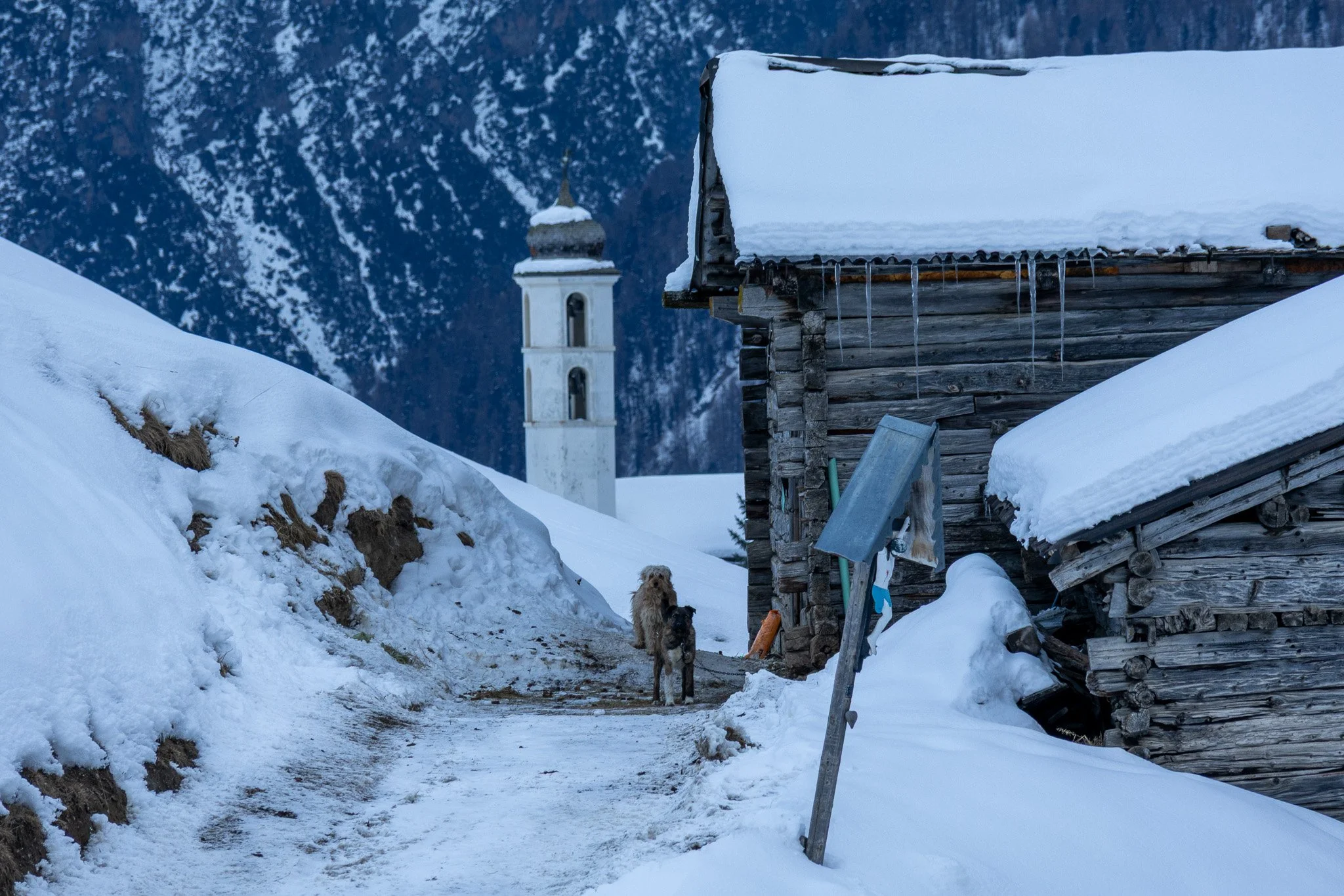 Snow-covered path with two dogs near wooden cabin, snow-covered mountains and church steeple in background.