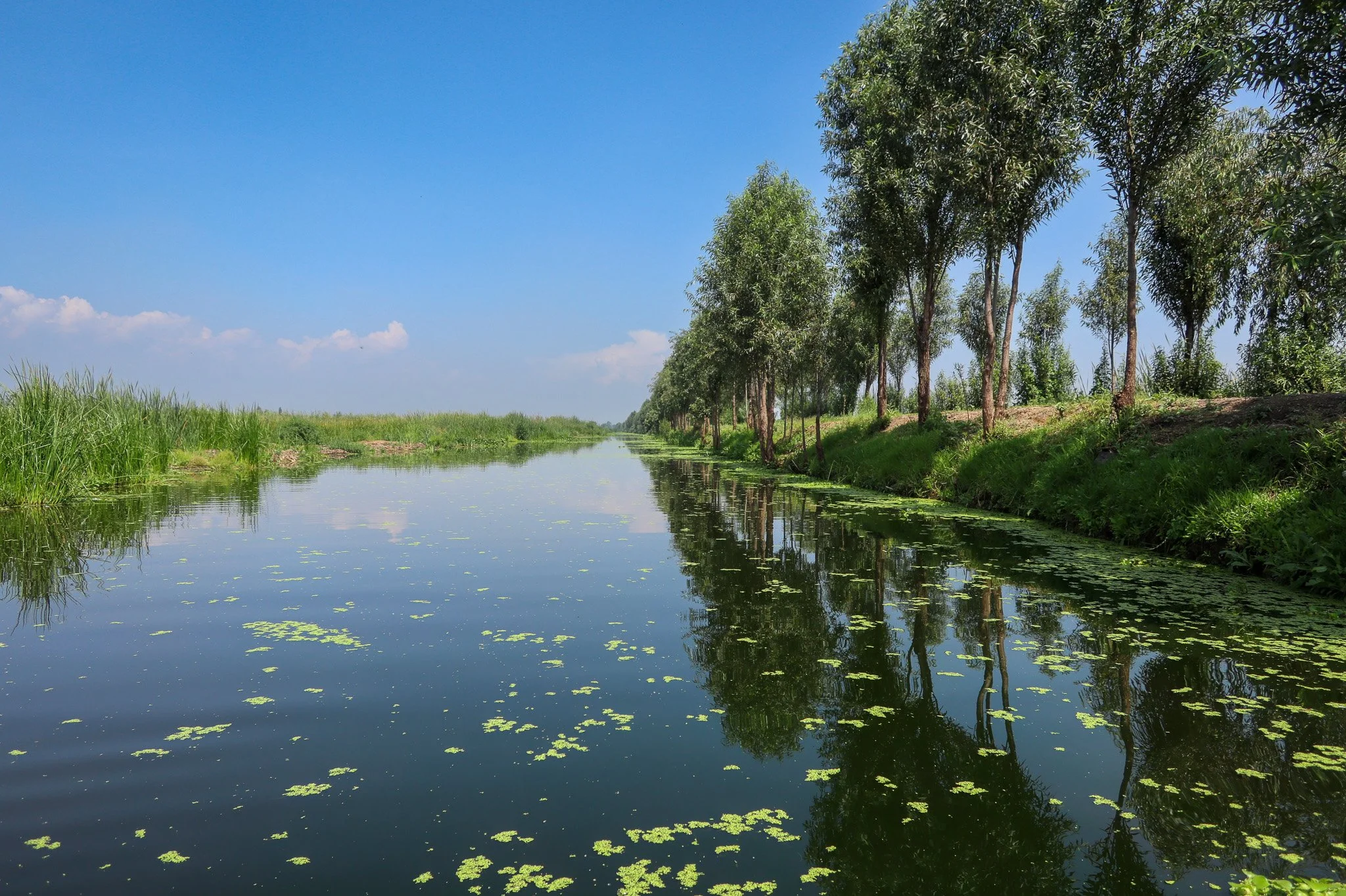A peaceful river with clear water reflecting the green trees on the right side and grass on the left, under a bright blue sky with some clouds.