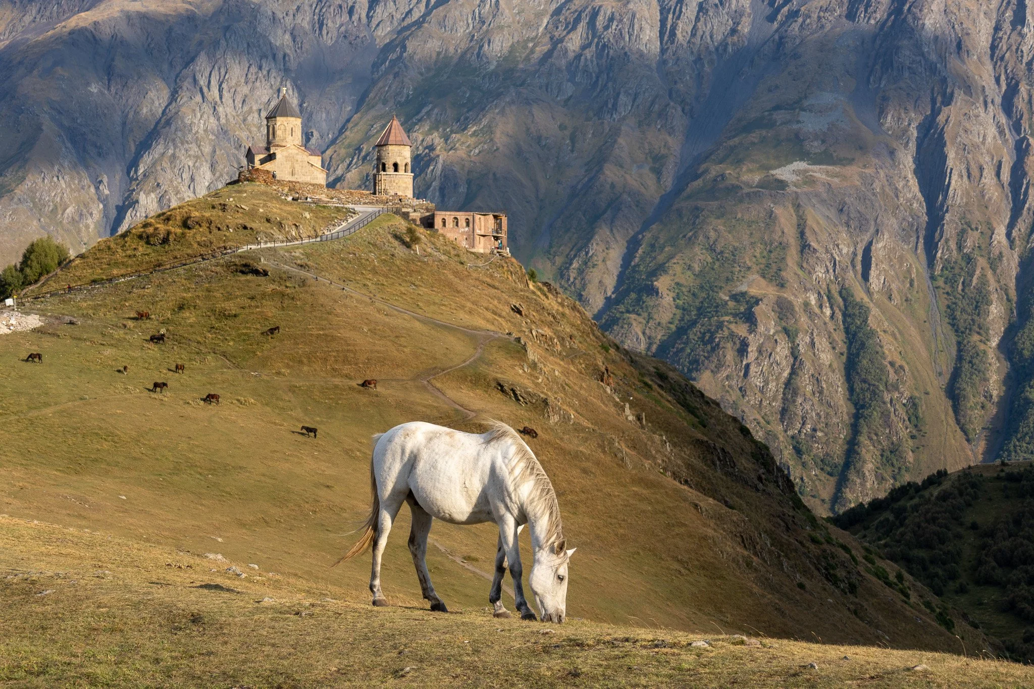 A white horse grazing on a grassy hillside with a medieval church on a hill and rugged mountains in the background.