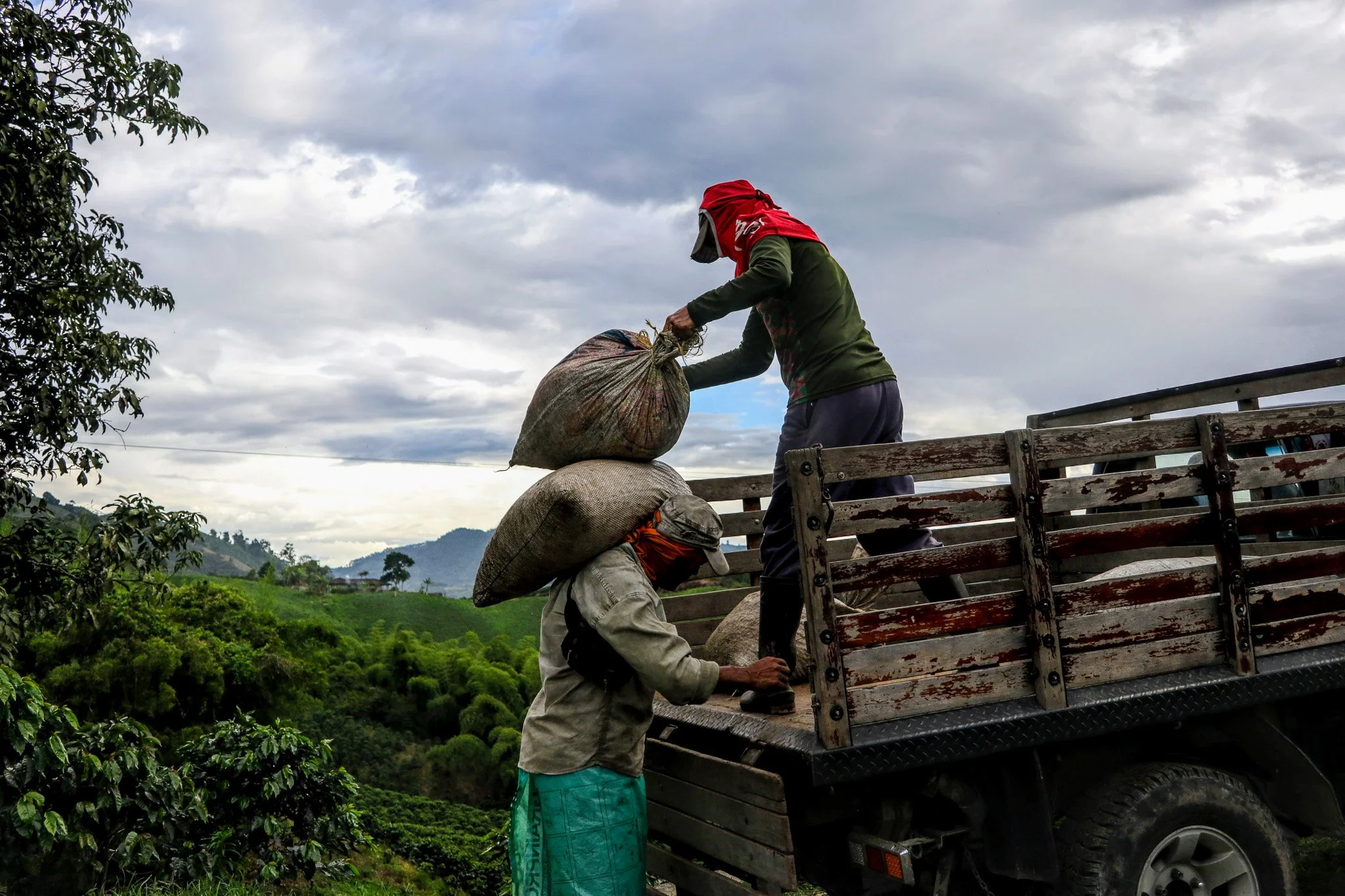 Two individuals loading large sacks onto a truck in a lush, green valley with mountains and a cloudy sky in the background.
