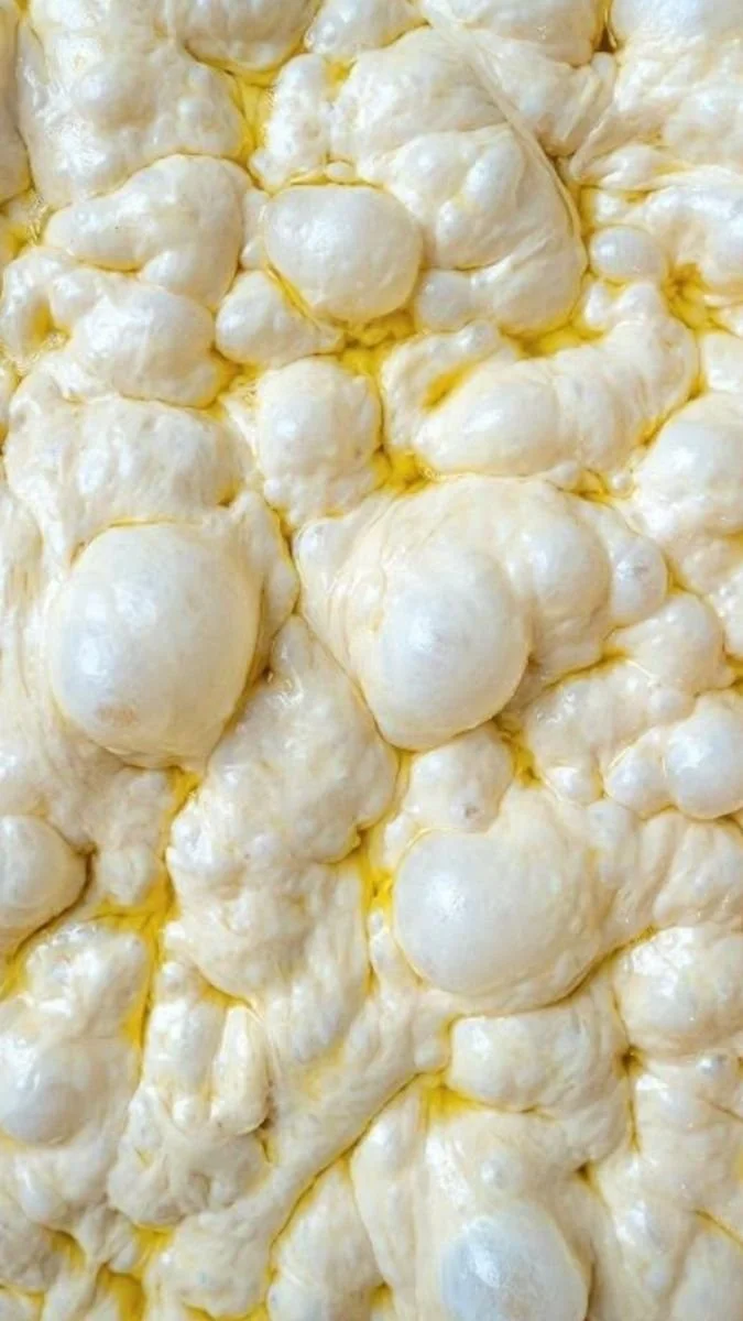 Focaccia Dough