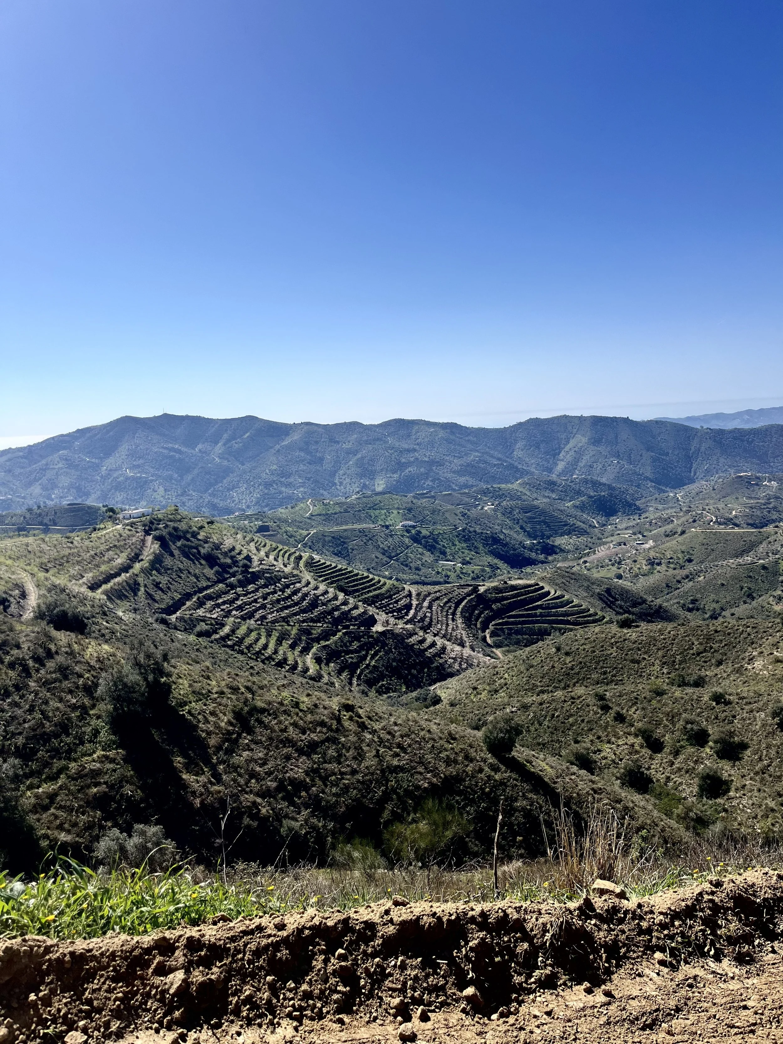 IMG_0286.jpeg