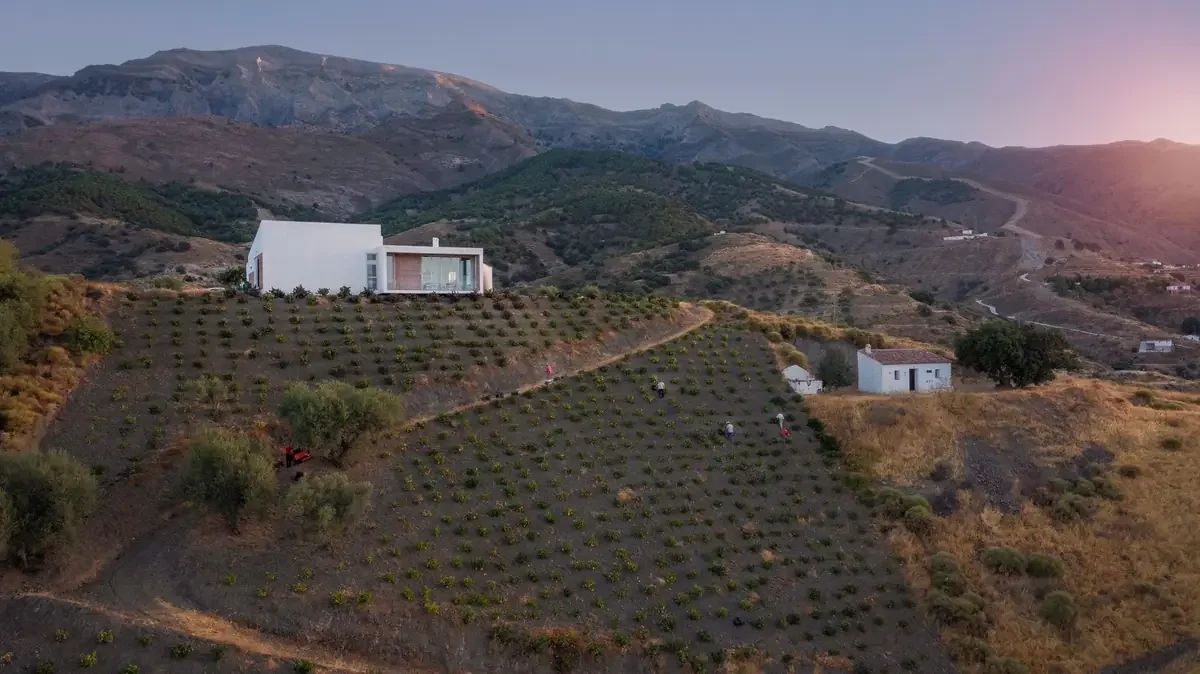 Modern house on a hillside overlooking a vineyard with mountains in the background at sunset.