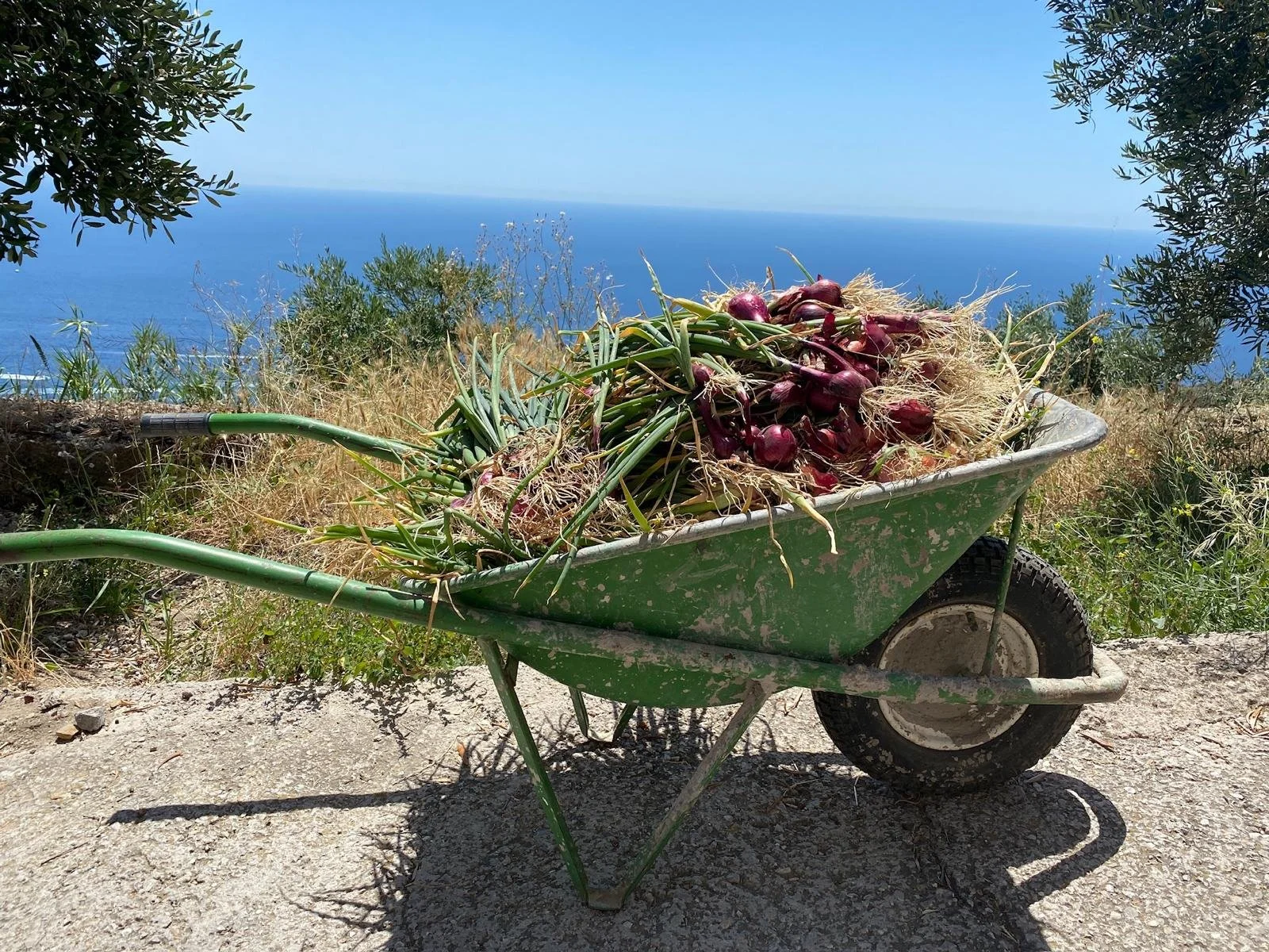 organisation événement, En Aparté, expérience, séminaire, off-site, soirée, entreprise, authentique, humain, agence, événementielle