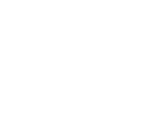 Logo des Deutschen Instituts für Pferde-Osteopathie mit einem stilisierten Pferdekopf.