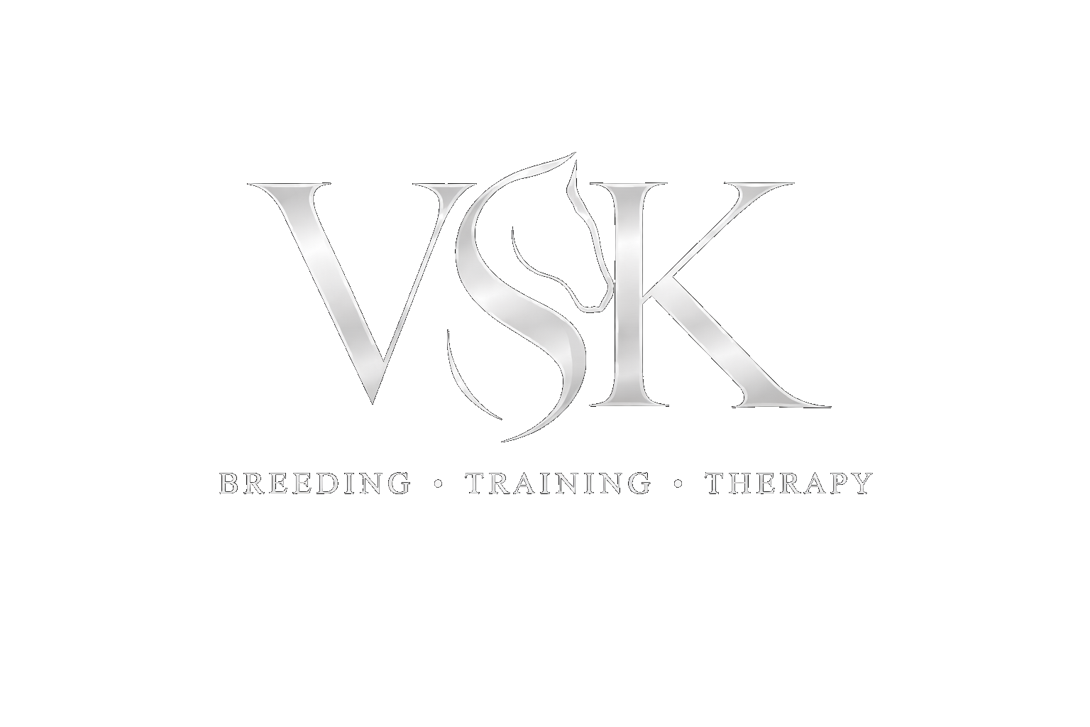 Logo mit den Buchstaben V, S, K in silberner Schrift, mit Hundesilhouette im Zentrum, darunter die Begriffe Breeding, Training, Therapy auf schwarzem Hintergrund.