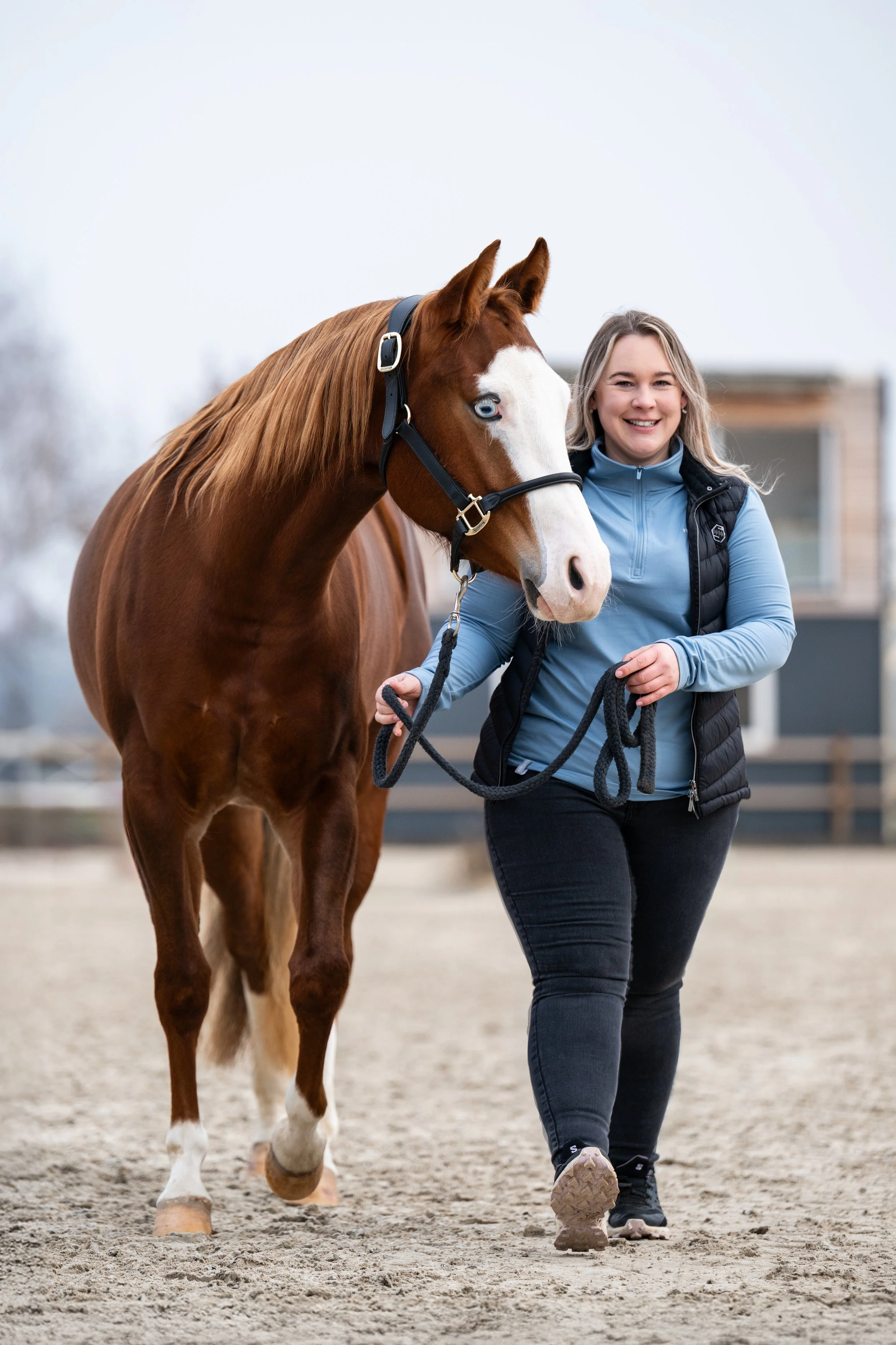 Eine Frau mit blonden Haaren, die ein braunes Pferd mit blauen Augen an der Leine führt, auf einem Reitplatz im Freien bei bewölktem Himmel.