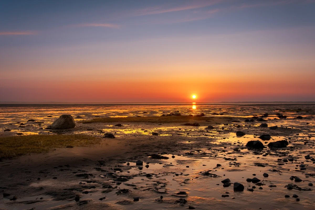 Vadehavet – et unikt sted for natur og fotografering