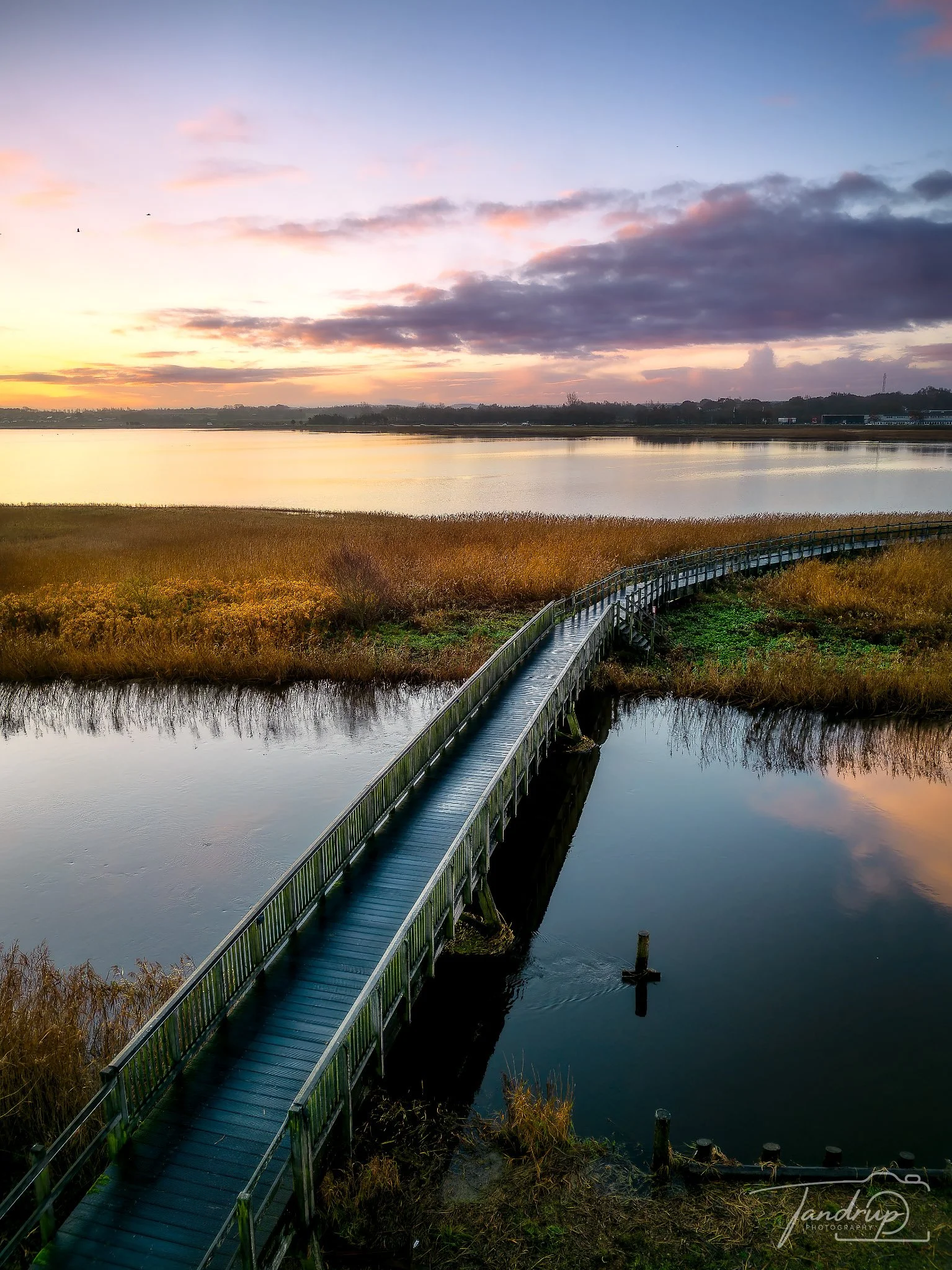 DJI_0355-DNG_DxO_DeepPRIMEXD-Edit-Edit_1535x2048_H_100_Flickr  500px.jpg