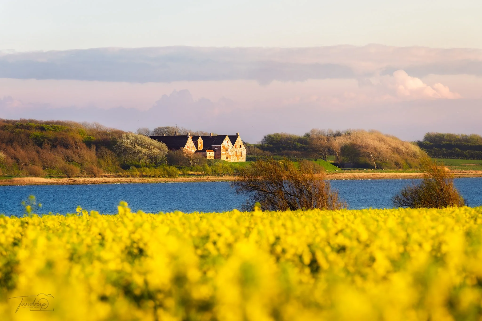 _DSF5322-20250424-DxO_DeepPRIME XD2s-Edit_2048x1365_H_100_Flickr  500px.jpg