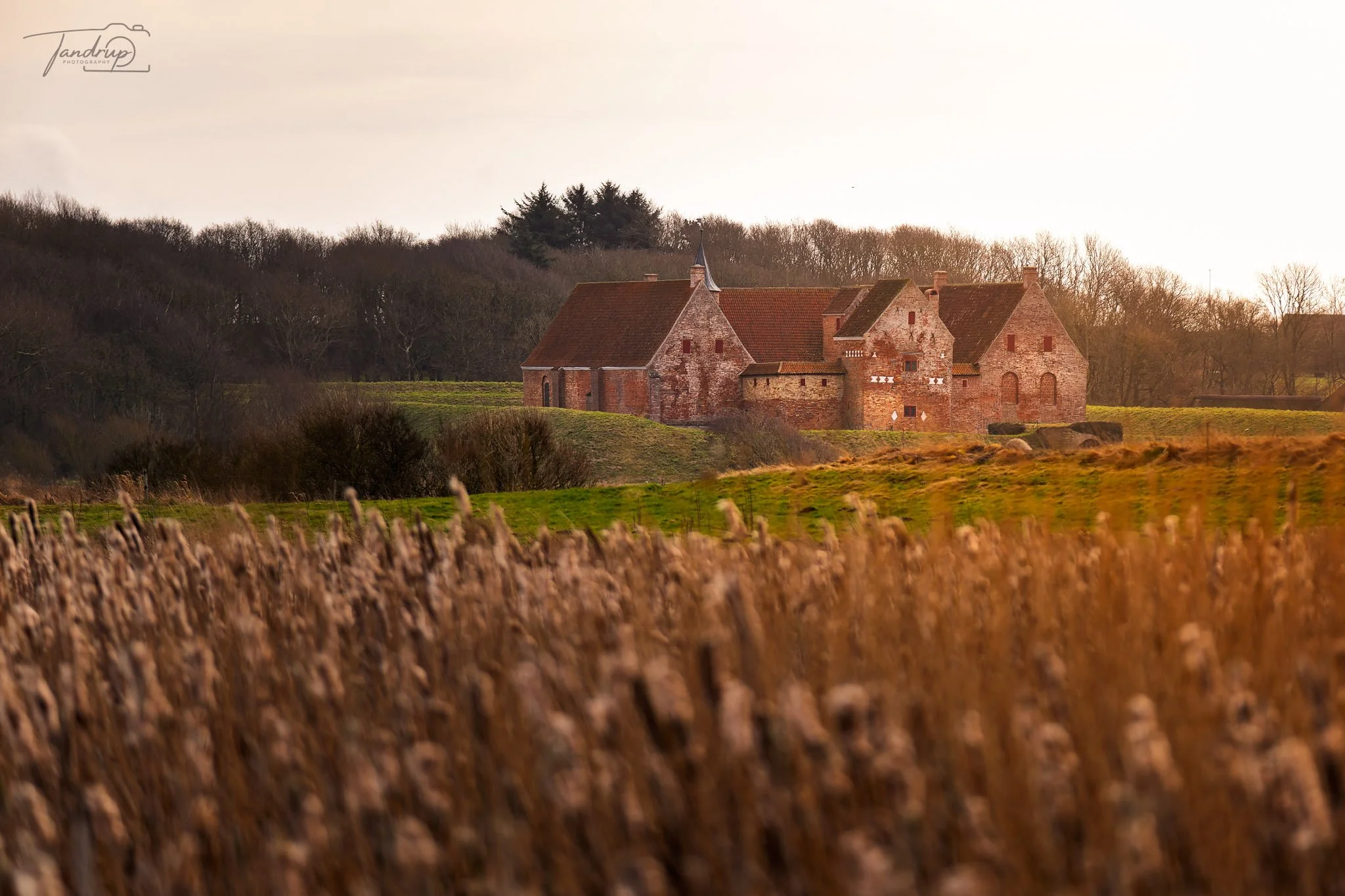 _DSF1970-20250302-DxO_DeepPRIME XD2s-Edit_2048x1365_H_100_Flickr  500px.jpg