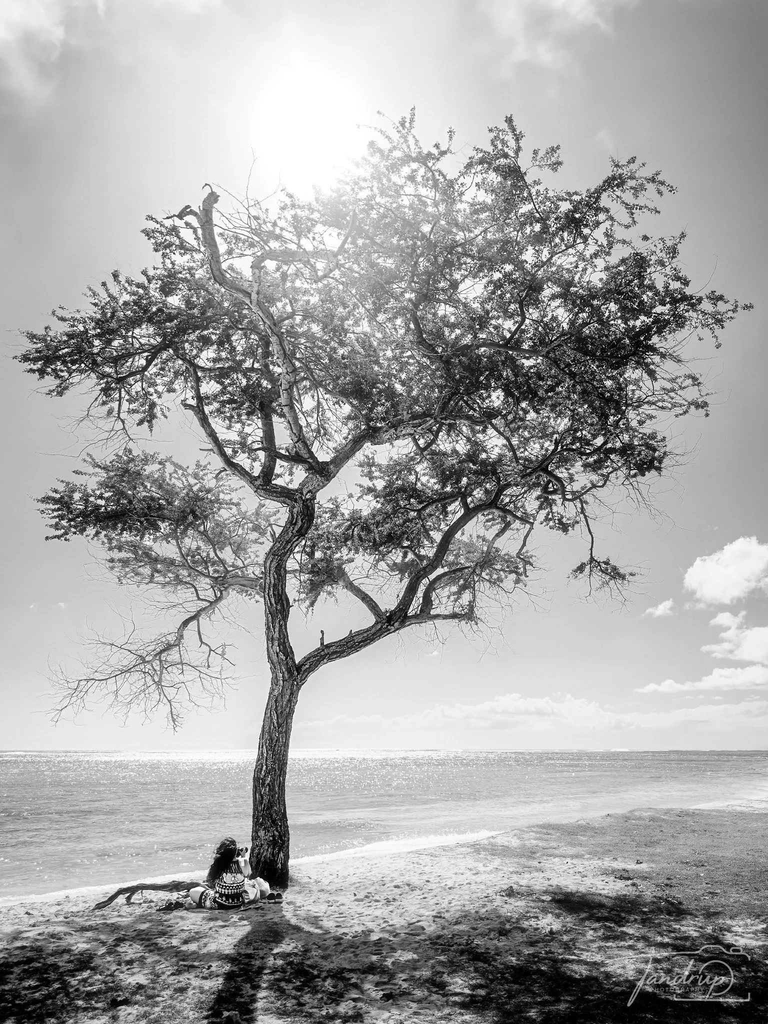 IMG_5102-Edit_1536x2048_H_100_Flickr  500px.jpg