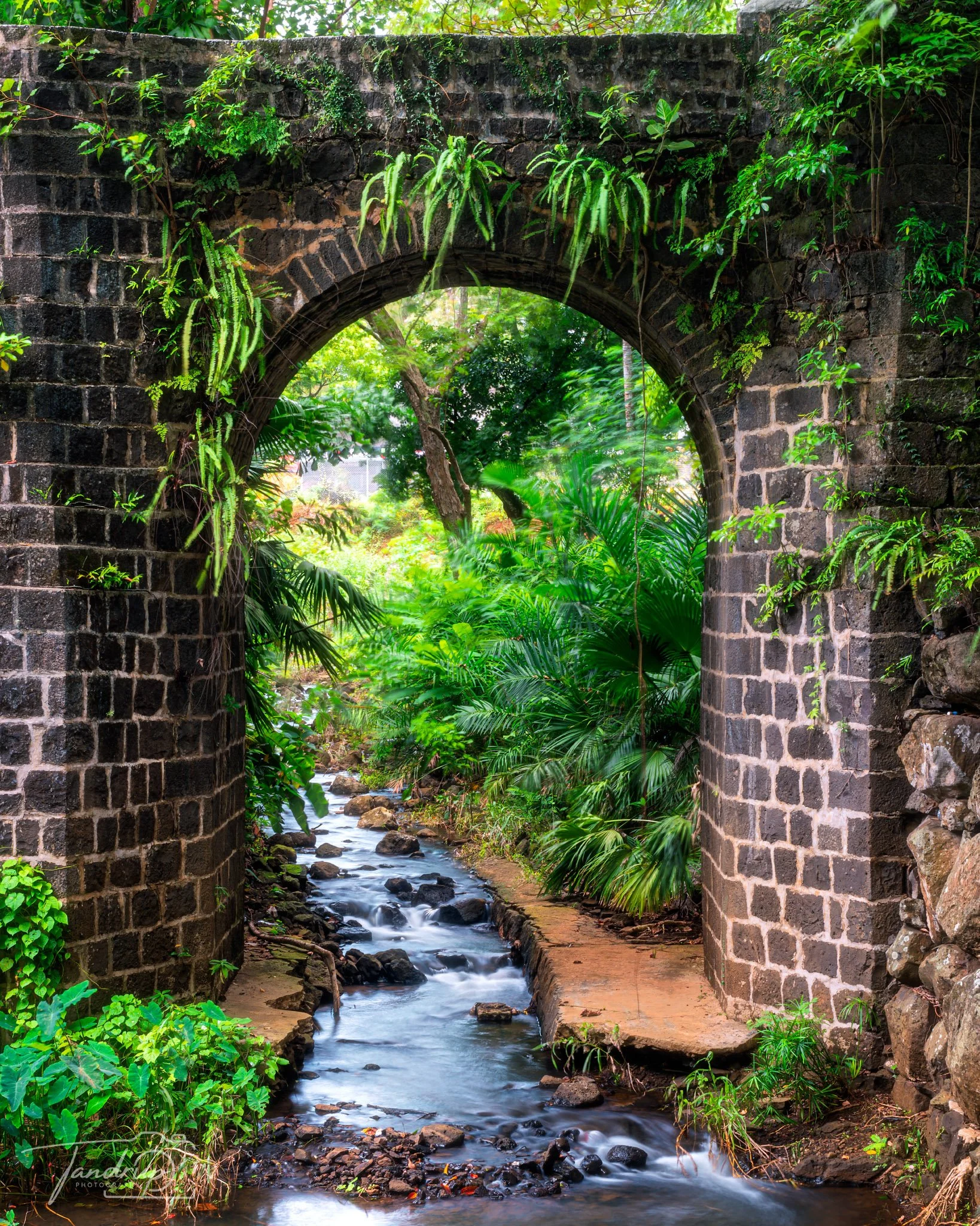 _DSF6965-20250527-DxO_DeepPRIME XD2s-Edit_1638x2048_H_100_Flickr  500px.jpg