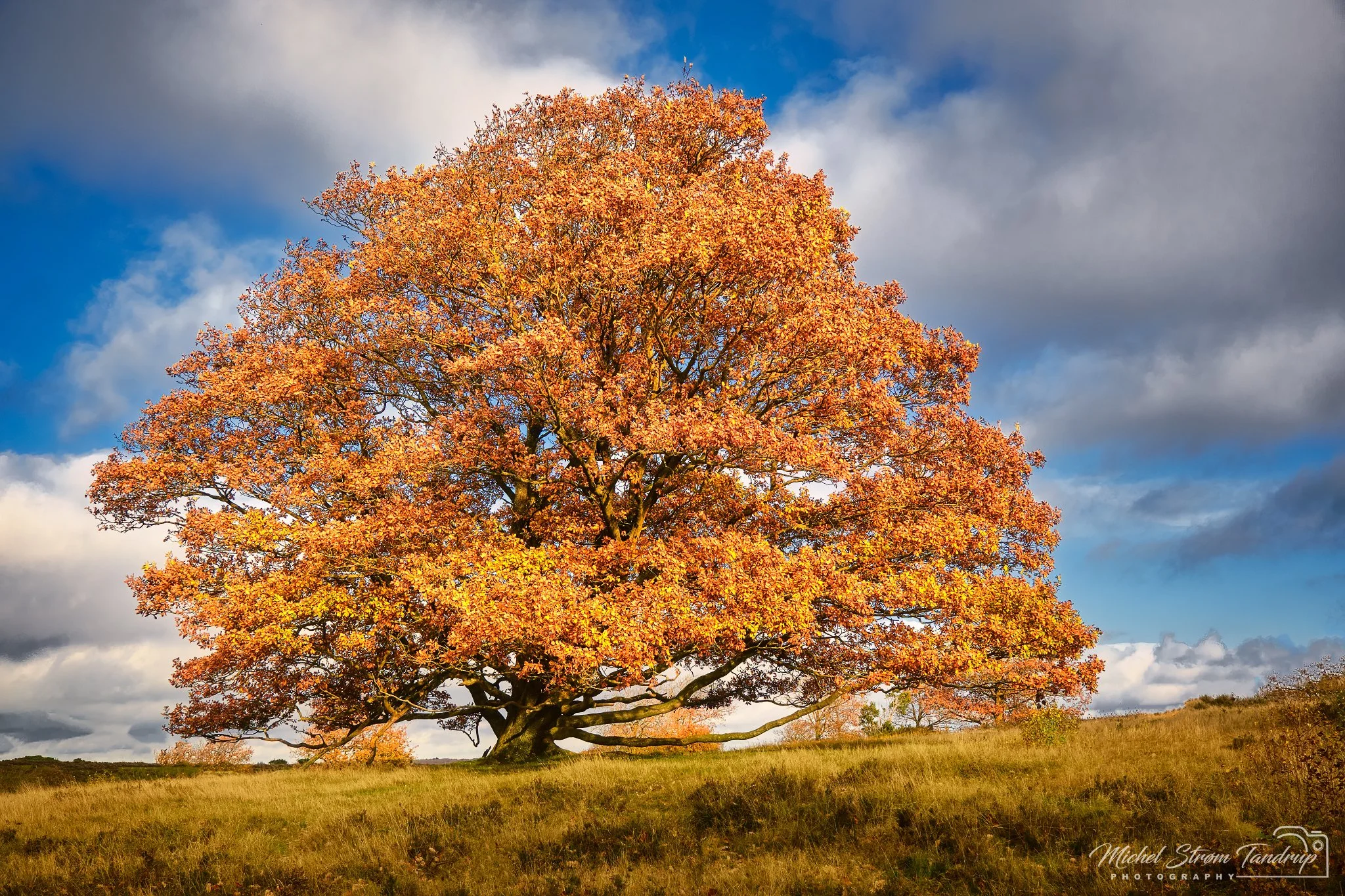 _DSF0309 - Finished-Edit._2048 long edge_2048x1365_U_100.jpg