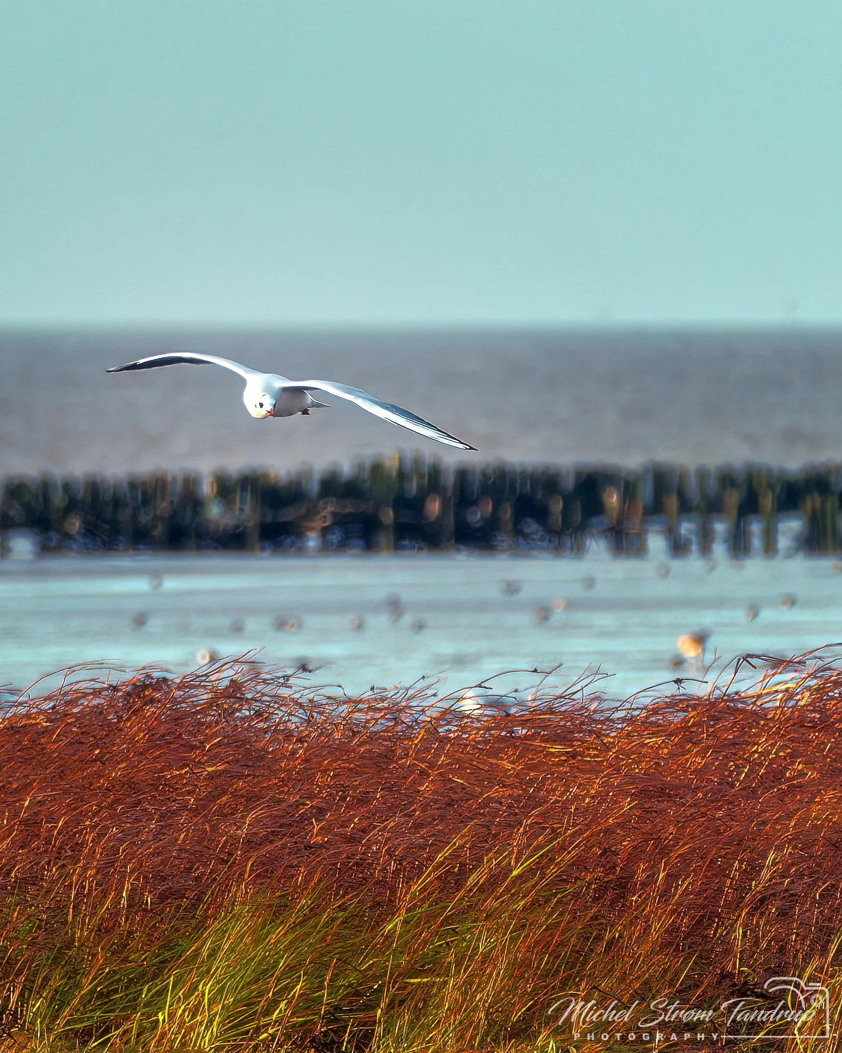 _DSF0274-RAF_DxO_DeepPRIME-Edit-Edit_2048 long edge_1639x2048_U_100.jpg